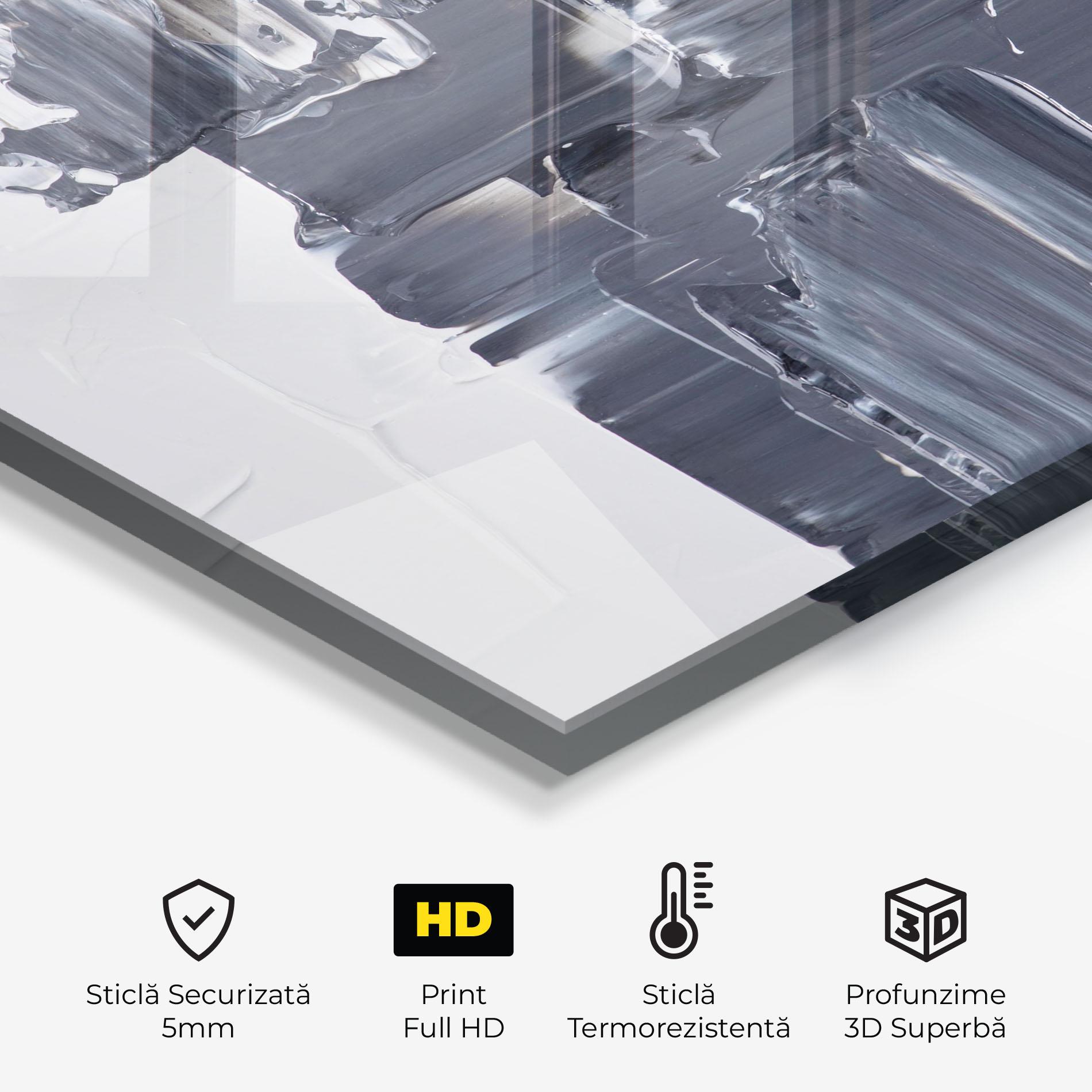 Panou Sticla Bucatarie Black Acrylic Painting mockup 2