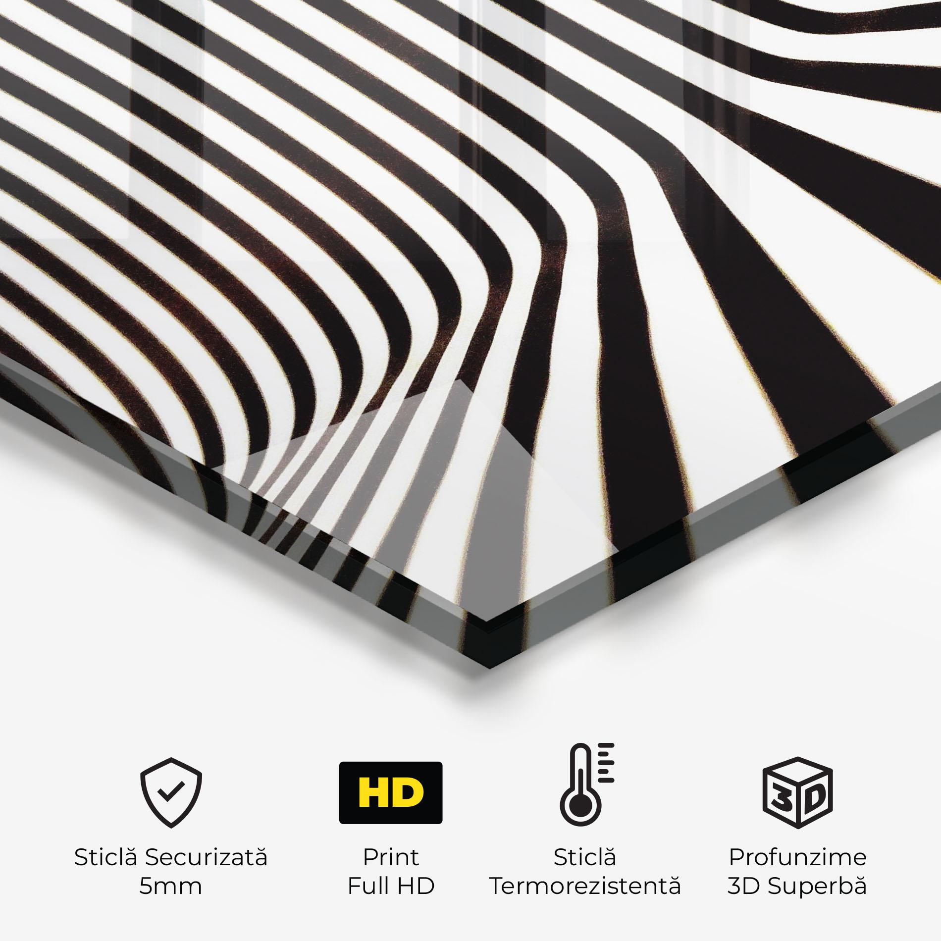 Panou Sticla Bucatarie Black And White Illusion mockup 2