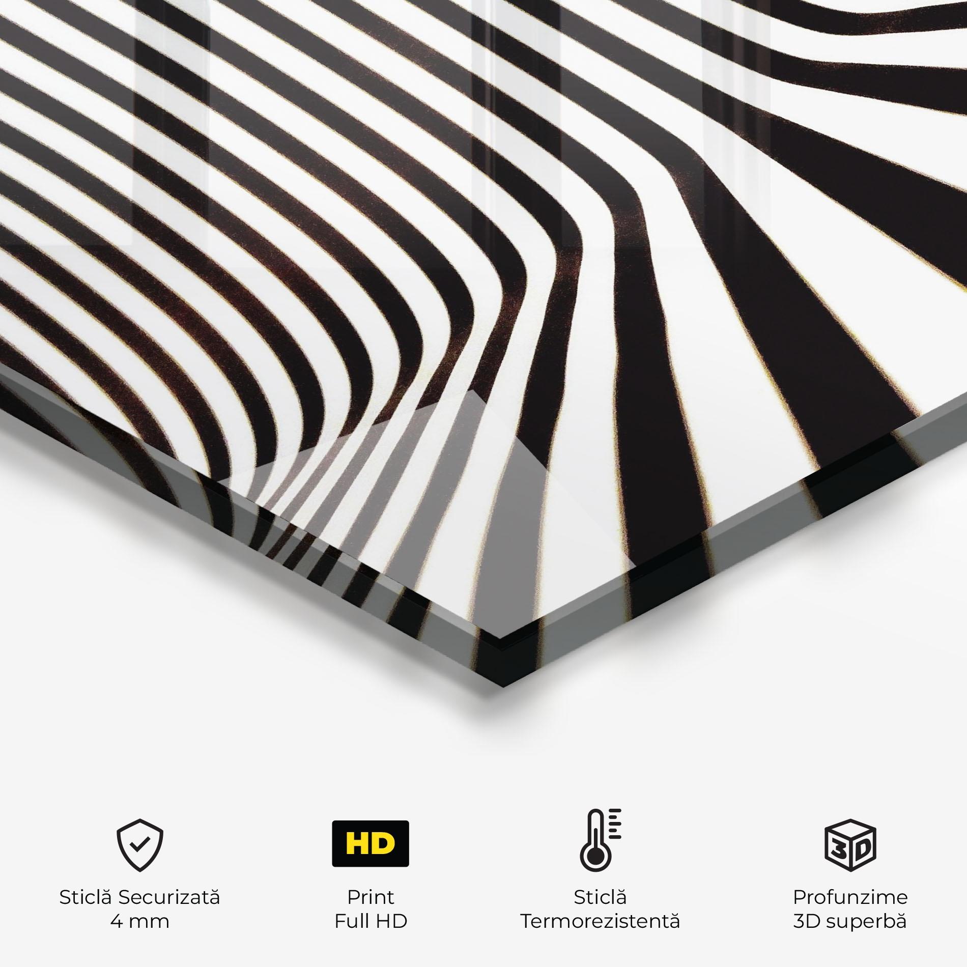 Panou Sticla Bucatarie Black And White Illusion mockup 2
