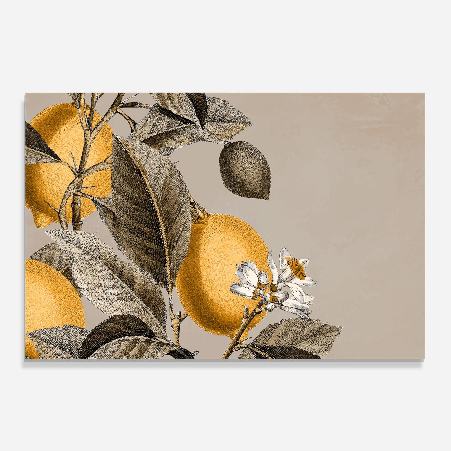 Panou Sticla Bucatarie Lime Tree mockup 0