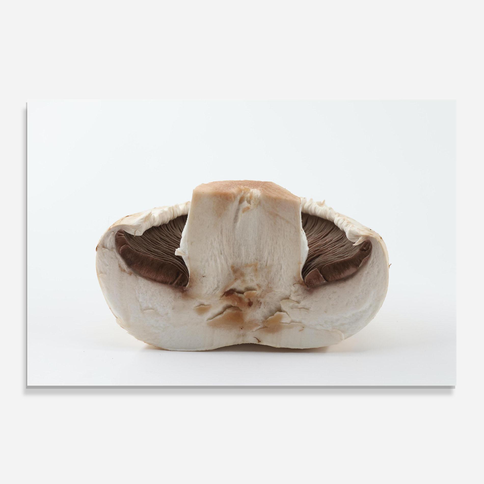 Panou Sticla Bucatarie Cut Mushroom mockup 0