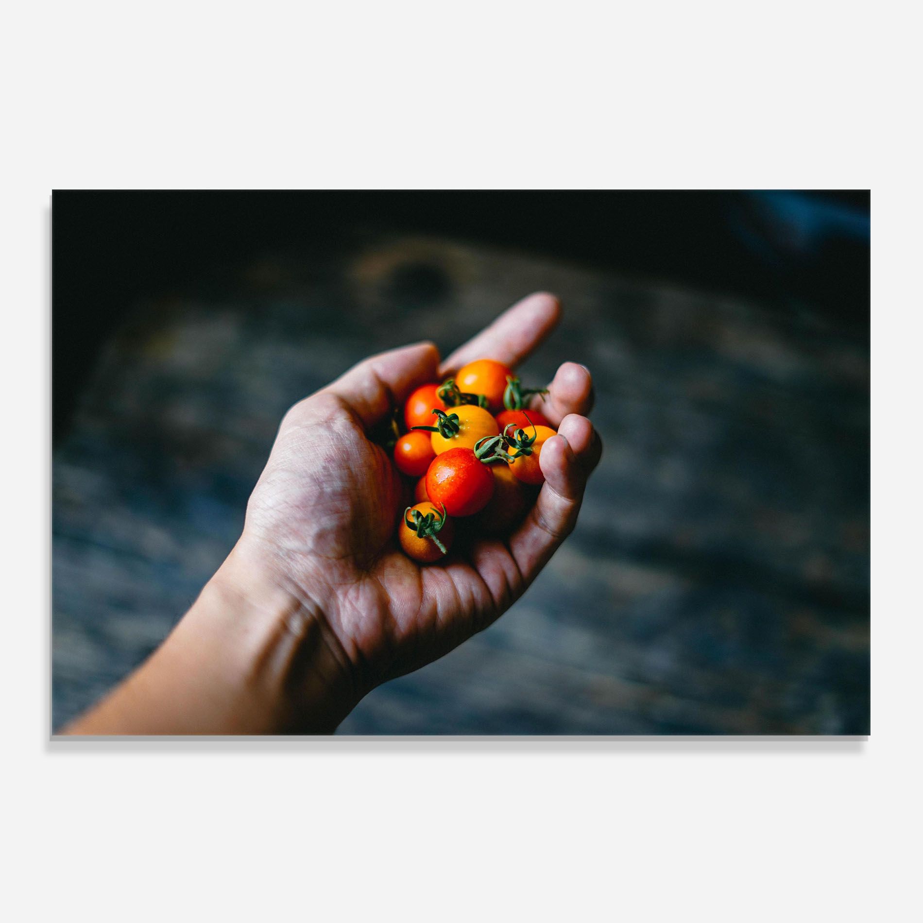 Holding Small Cherry mockup 0