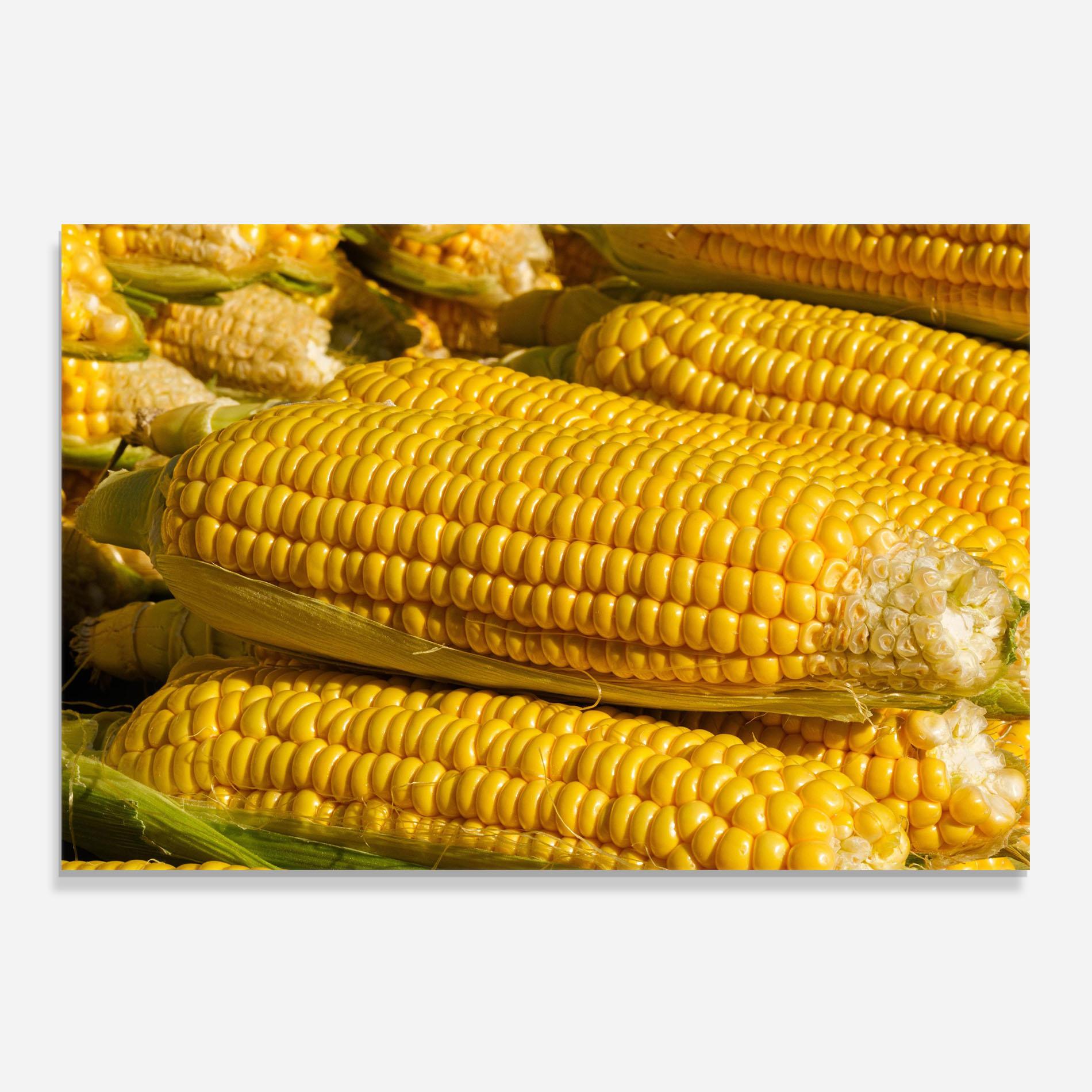 Panou Sticla Bucatarie Strong Yellow Corn mockup 0