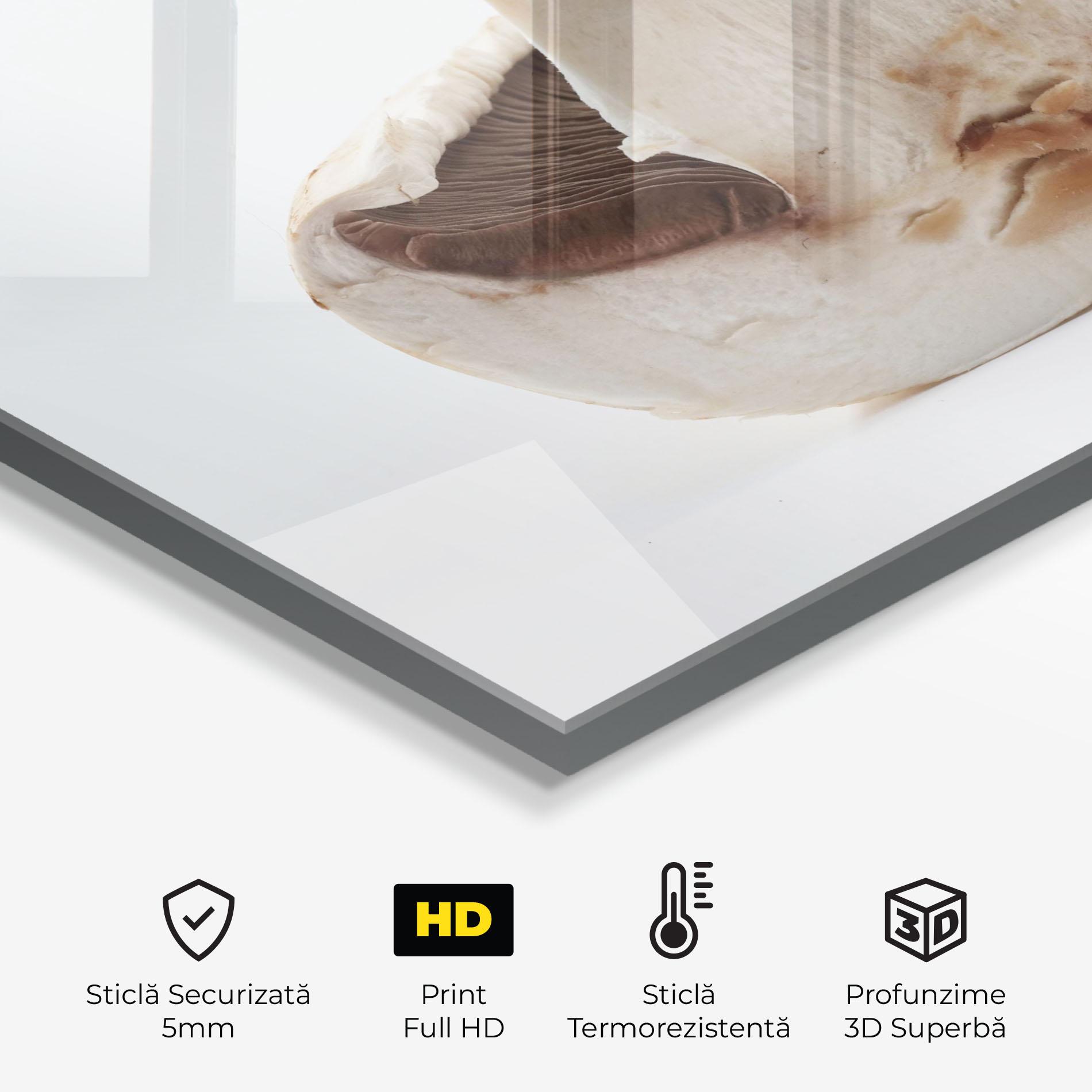 Panou Sticla Bucatarie Cut Mushroom mockup 2