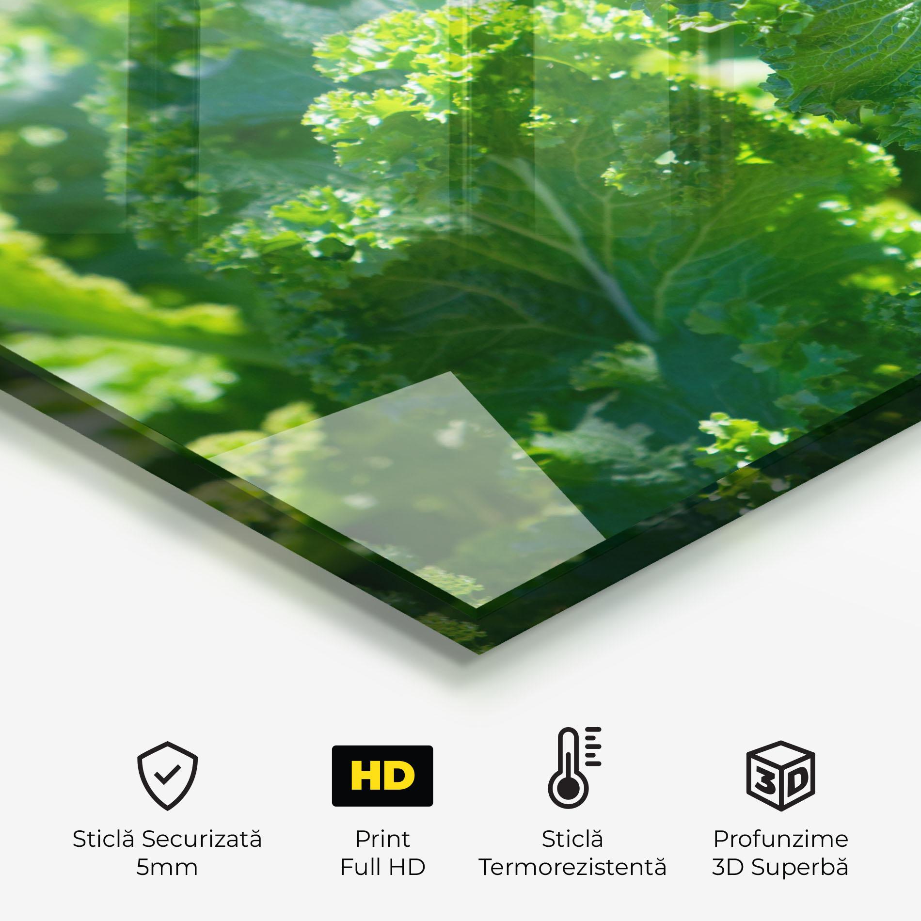 Panou Sticla Bucatarie Lettuce View mockup 2