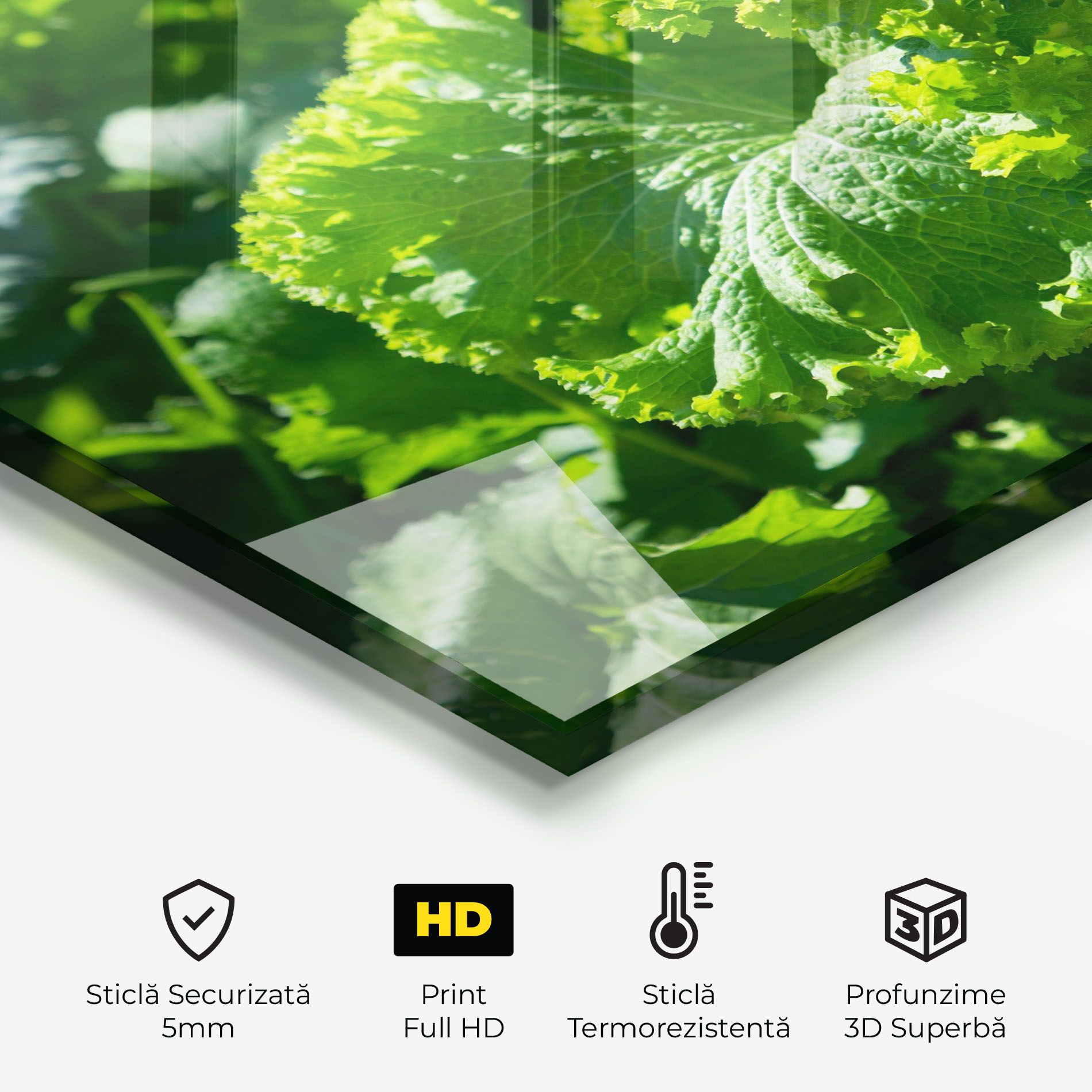 Preetty Green Lettuce mockup 2