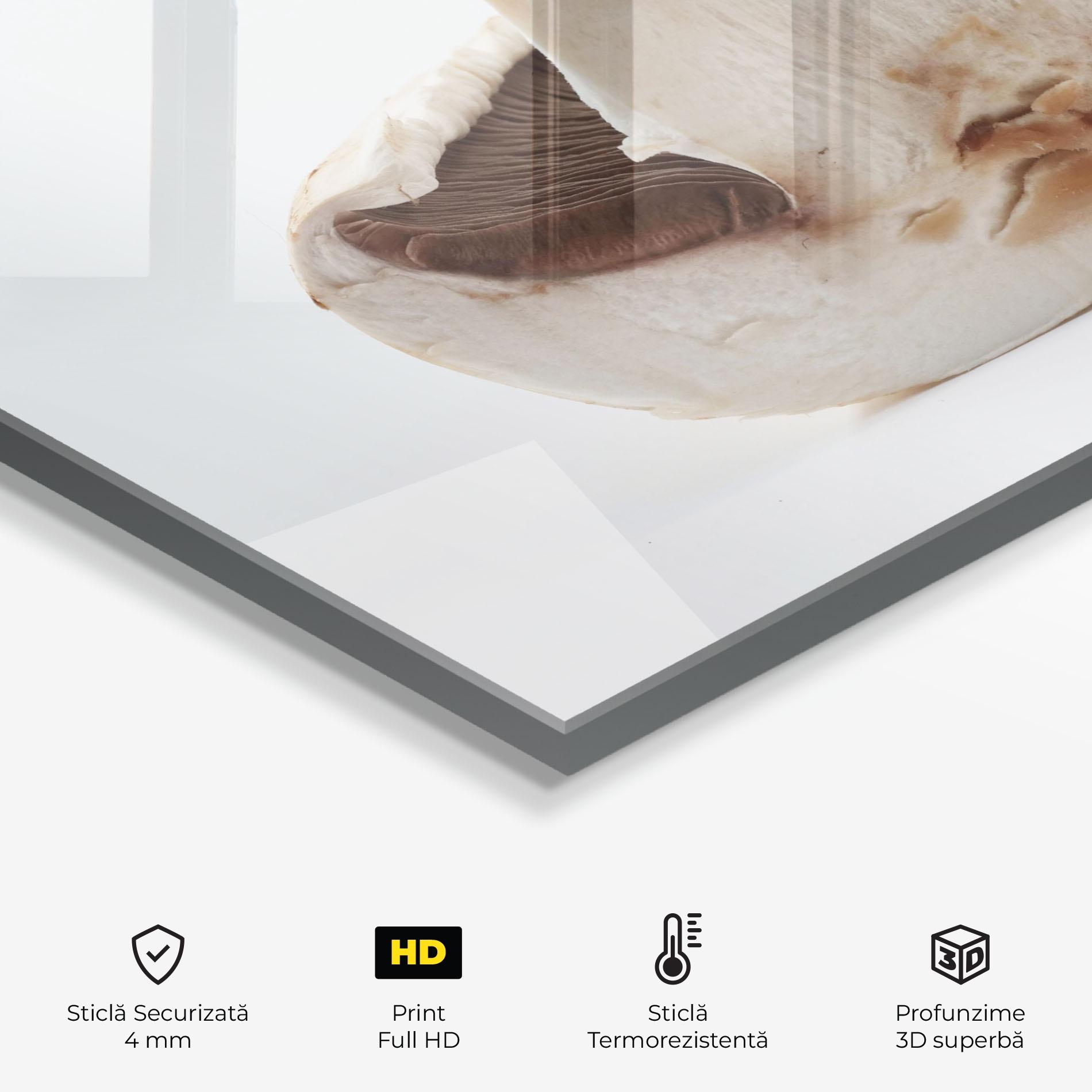 Panou Sticla Bucatarie Cut Mushroom mockup 2