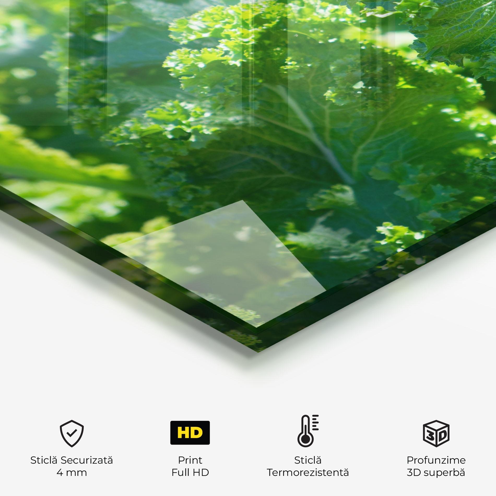 Panou Sticla Bucatarie Lettuce View mockup 2