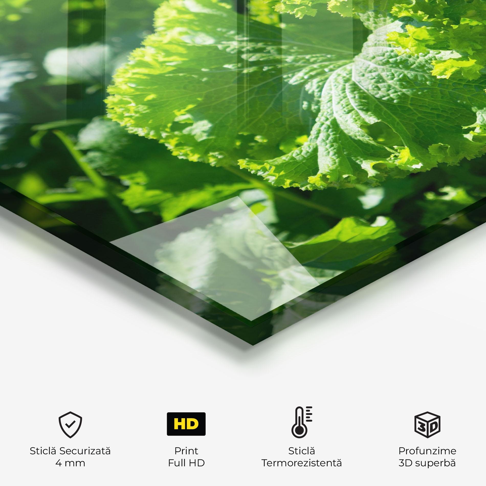 Panou Sticla Bucatarie Preetty Green Lettuce mockup 2