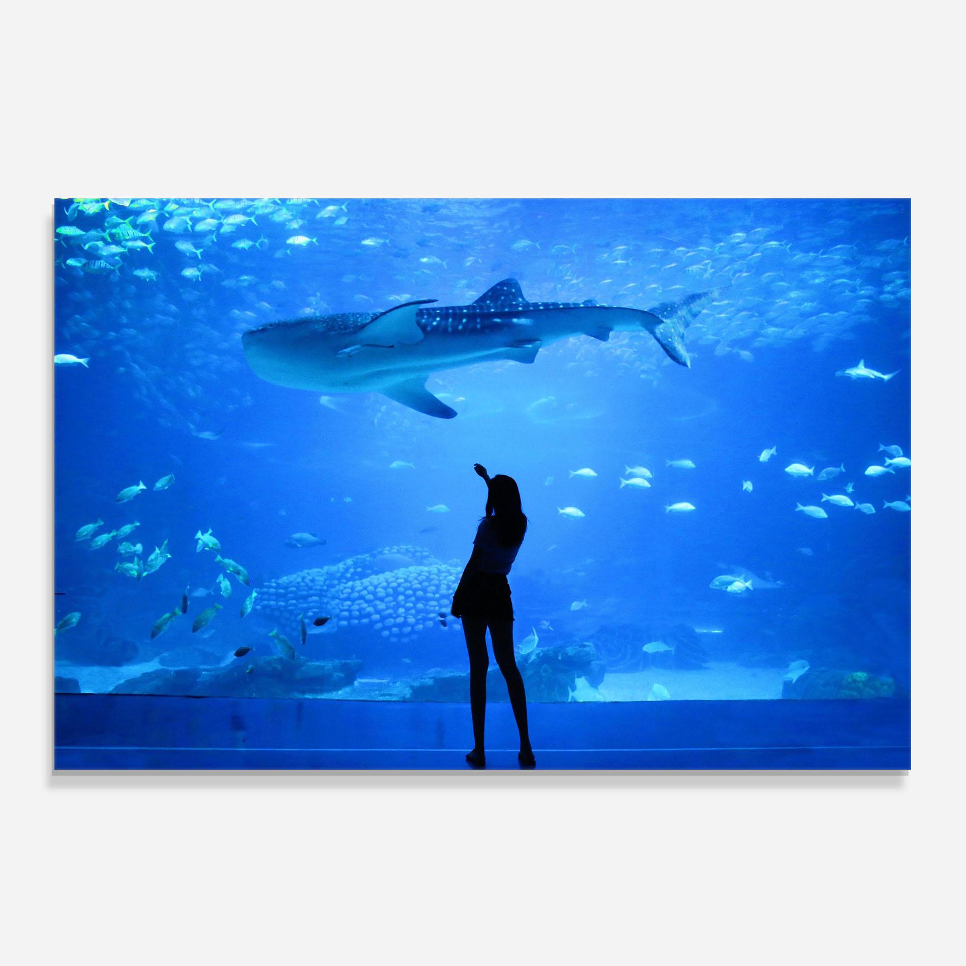 Panou Sticla Bucatarie Aquarium Girl mockup 0