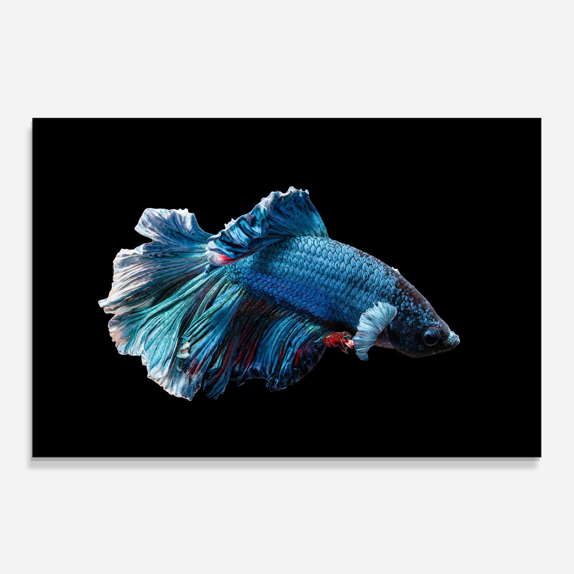 Panou Sticla Bucatarie Blue Betta mockup 0