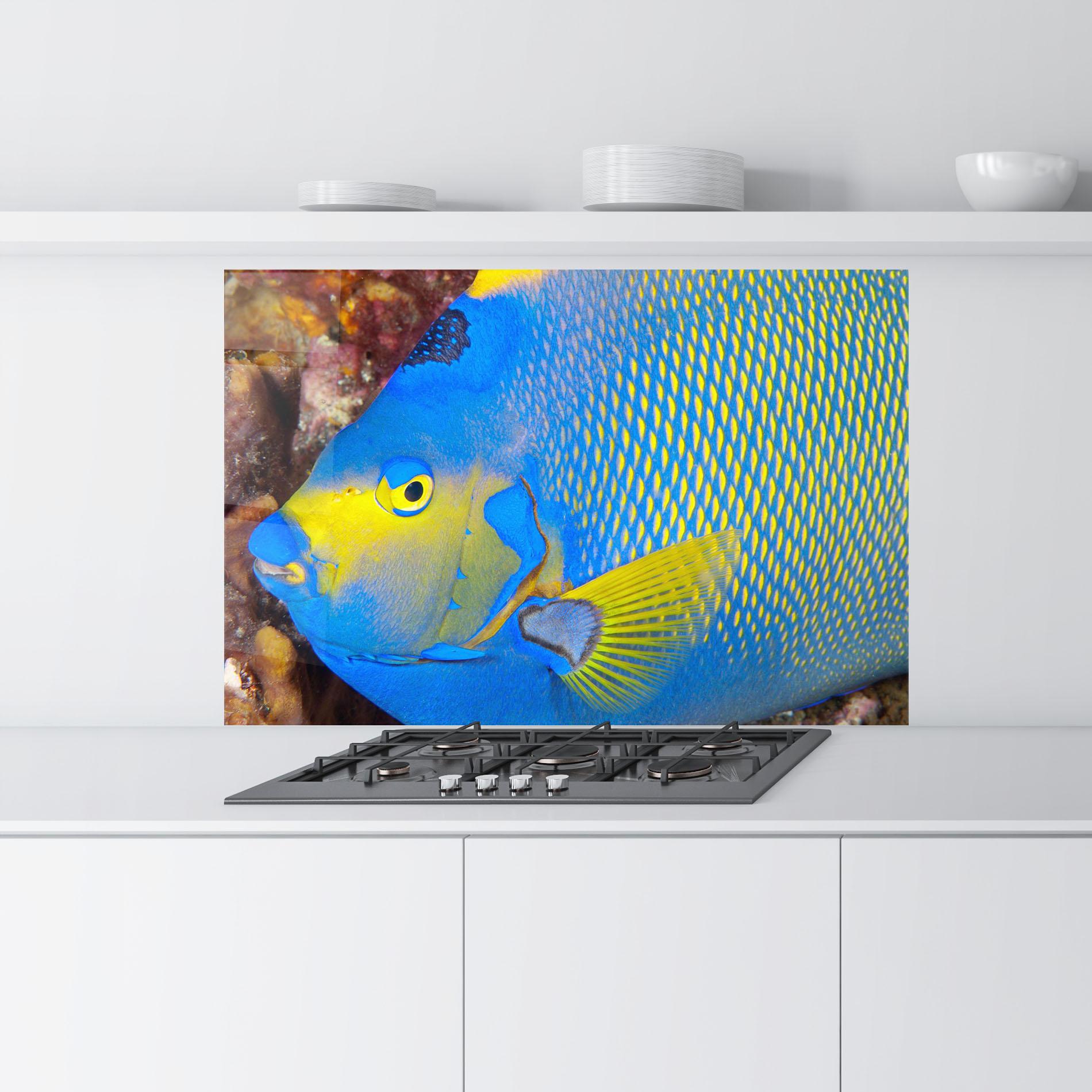 Panou Sticla Bucatarie Blue Yellow Fish mockup 9