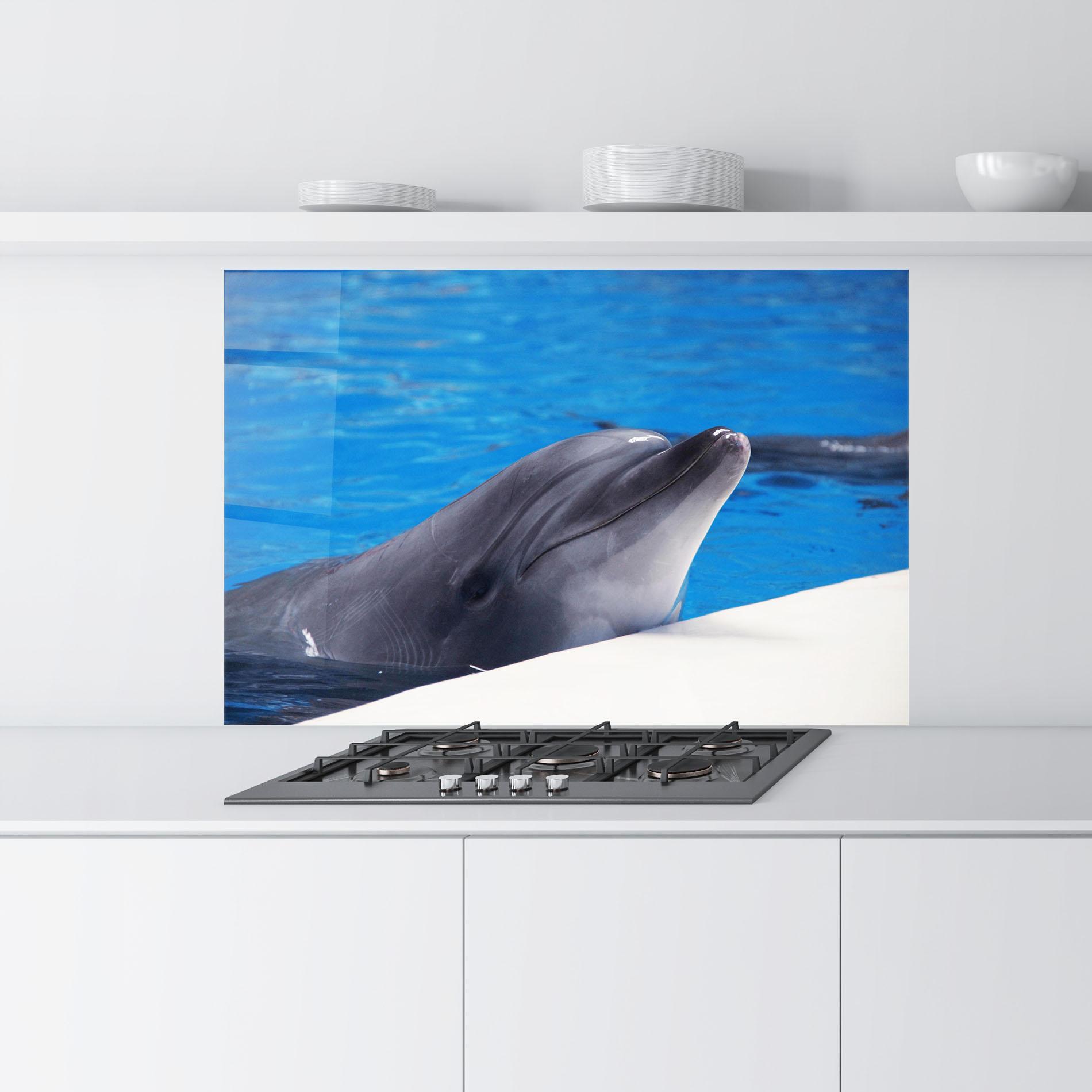 Panou Sticla Bucatarie Cute Dolphin mockup 9
