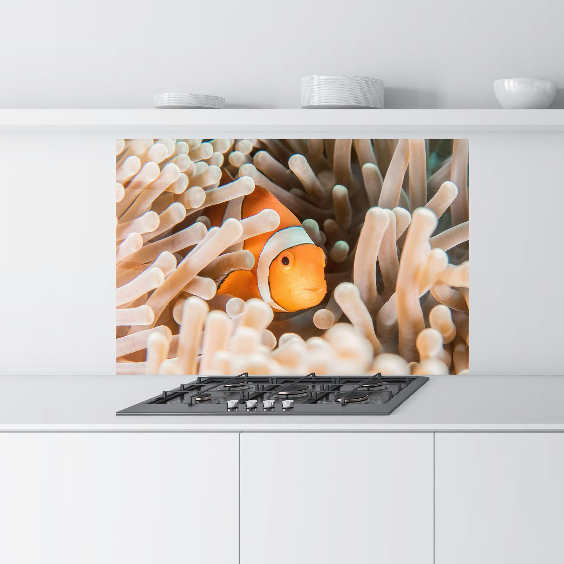 Panou Sticla Bucatarie Cute Nemo mockup 9