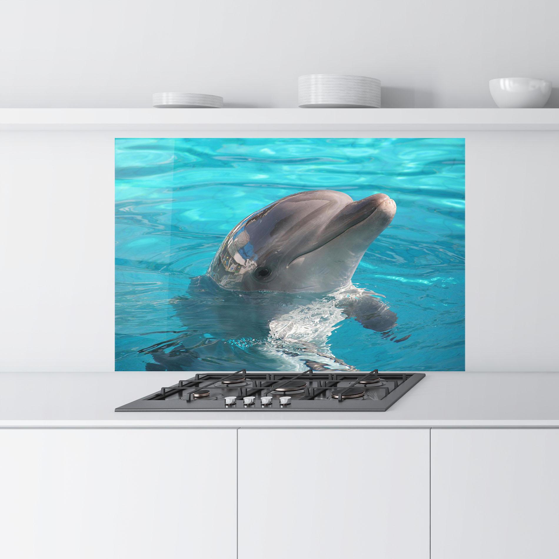Panou Sticla Bucatarie Dolphin Poses mockup 9