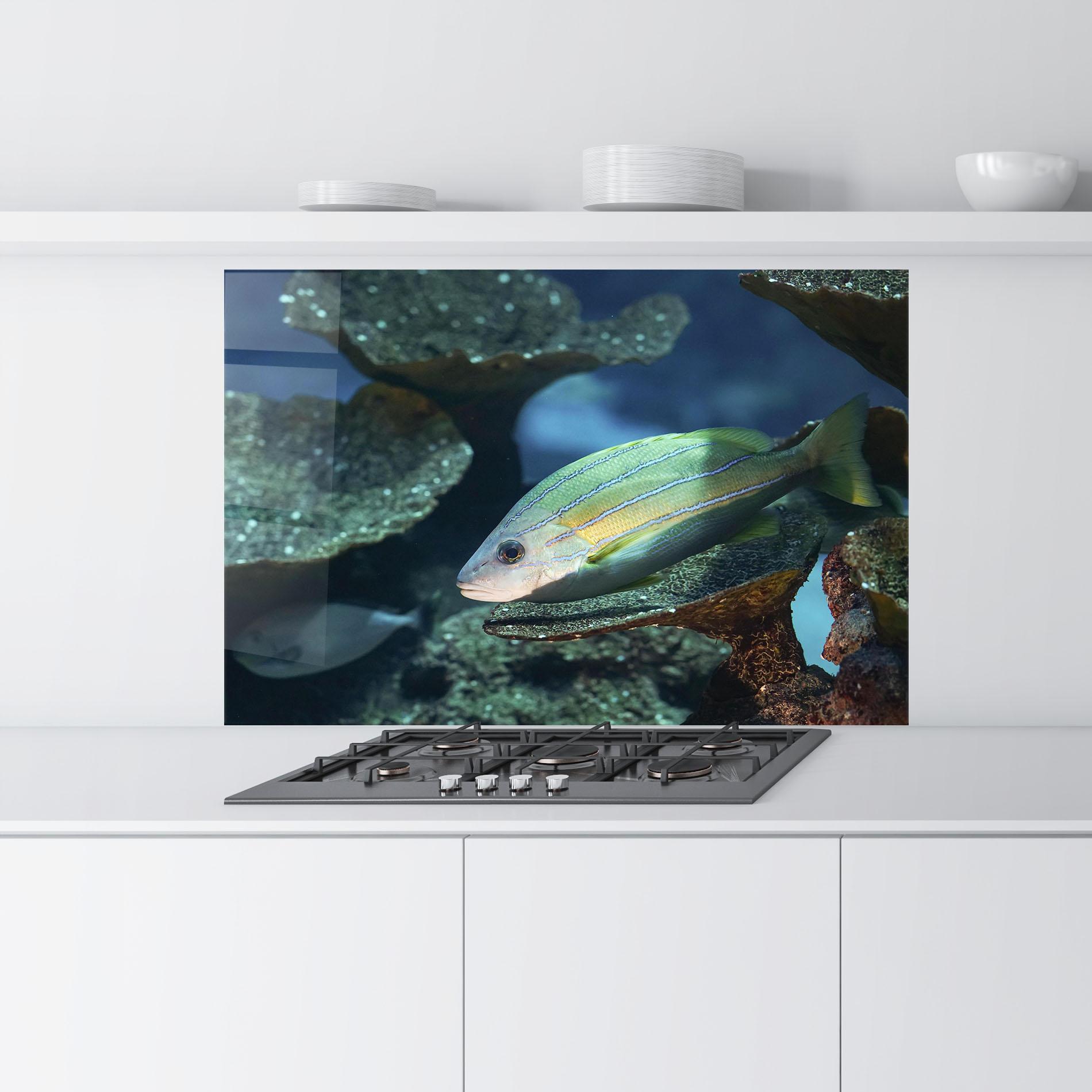 Panou Sticla Bucatarie Green Gold Fish mockup 9