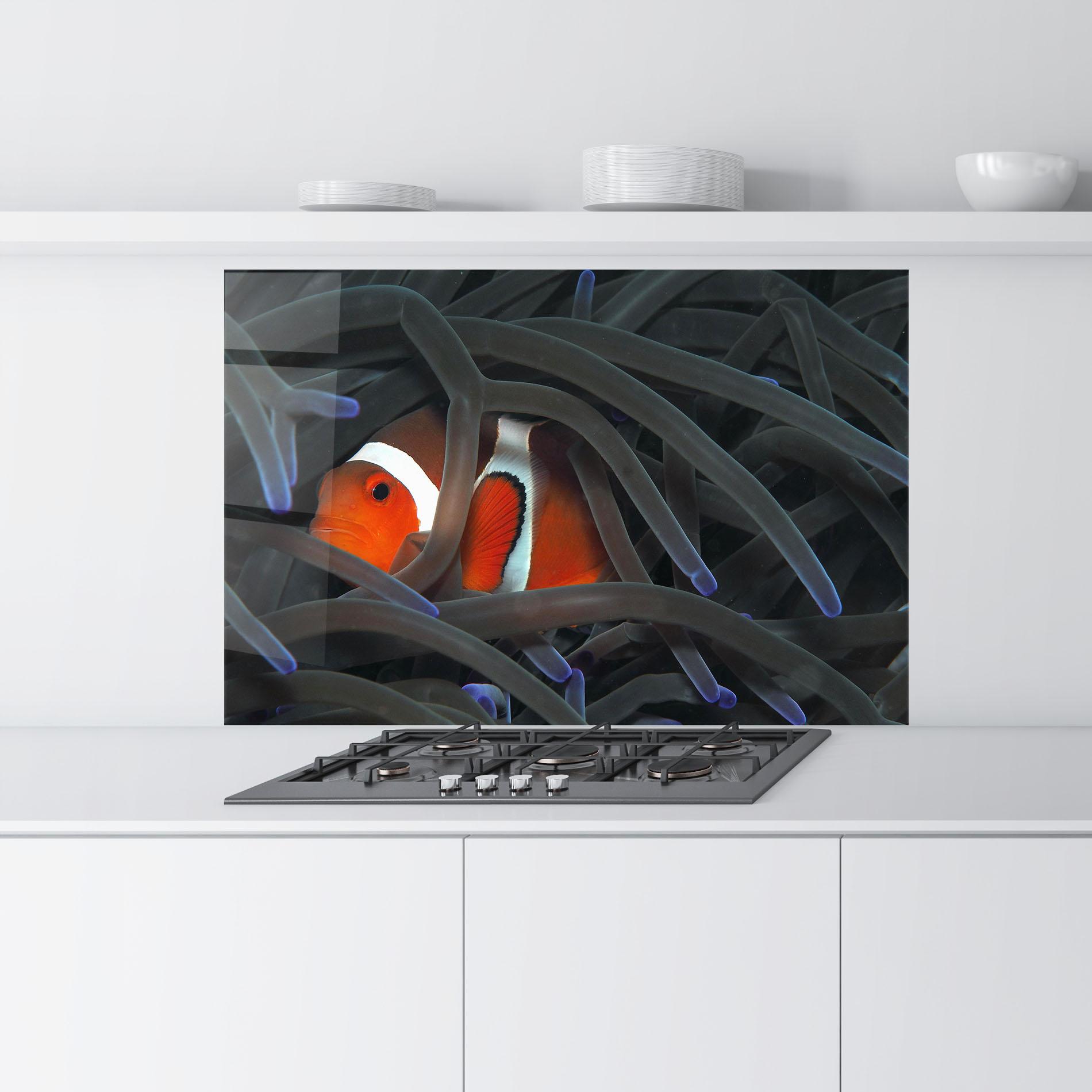 Panou Sticla Bucatarie Nemo Hiding mockup 9