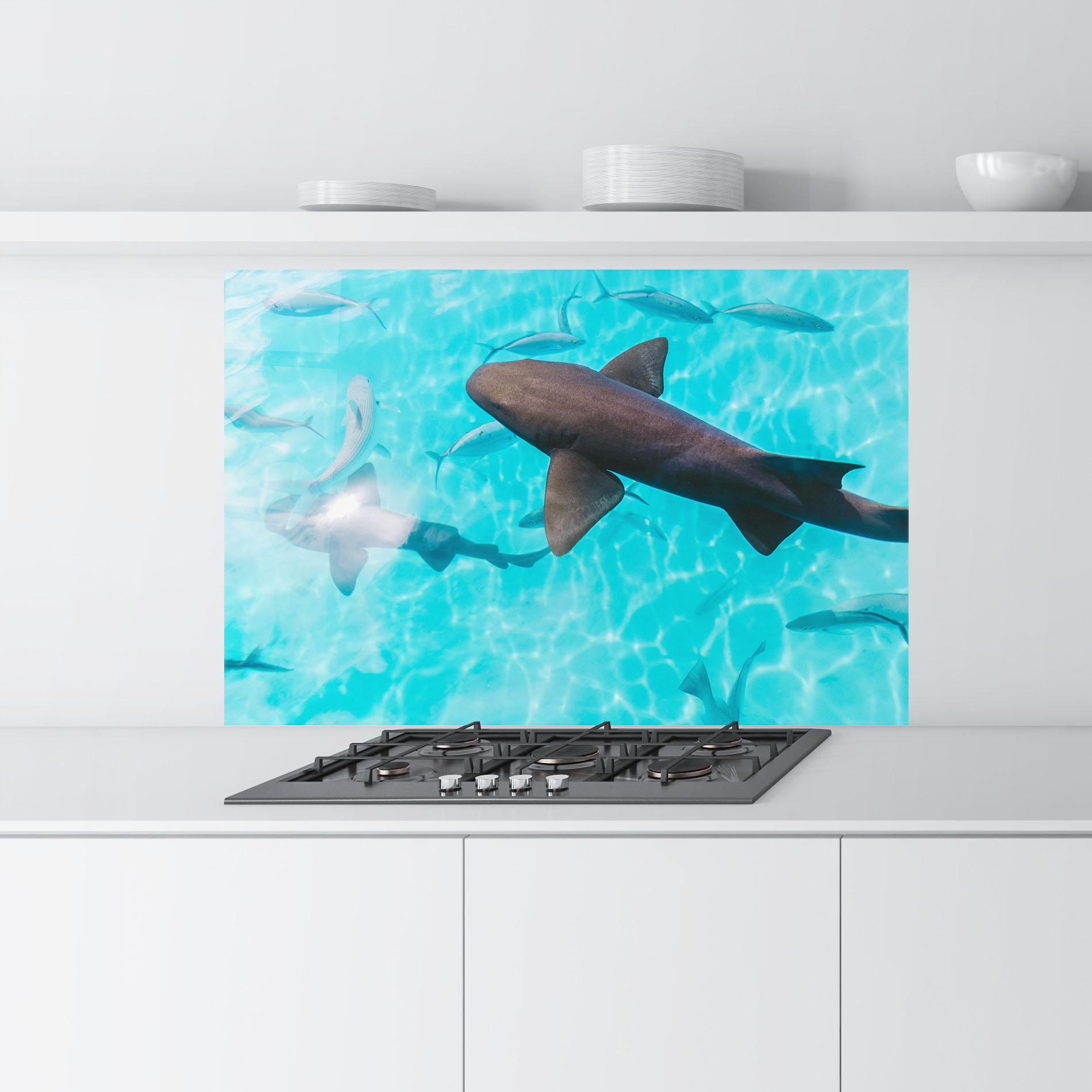 Panou Sticla Bucatarie Pretty Shark mockup 9