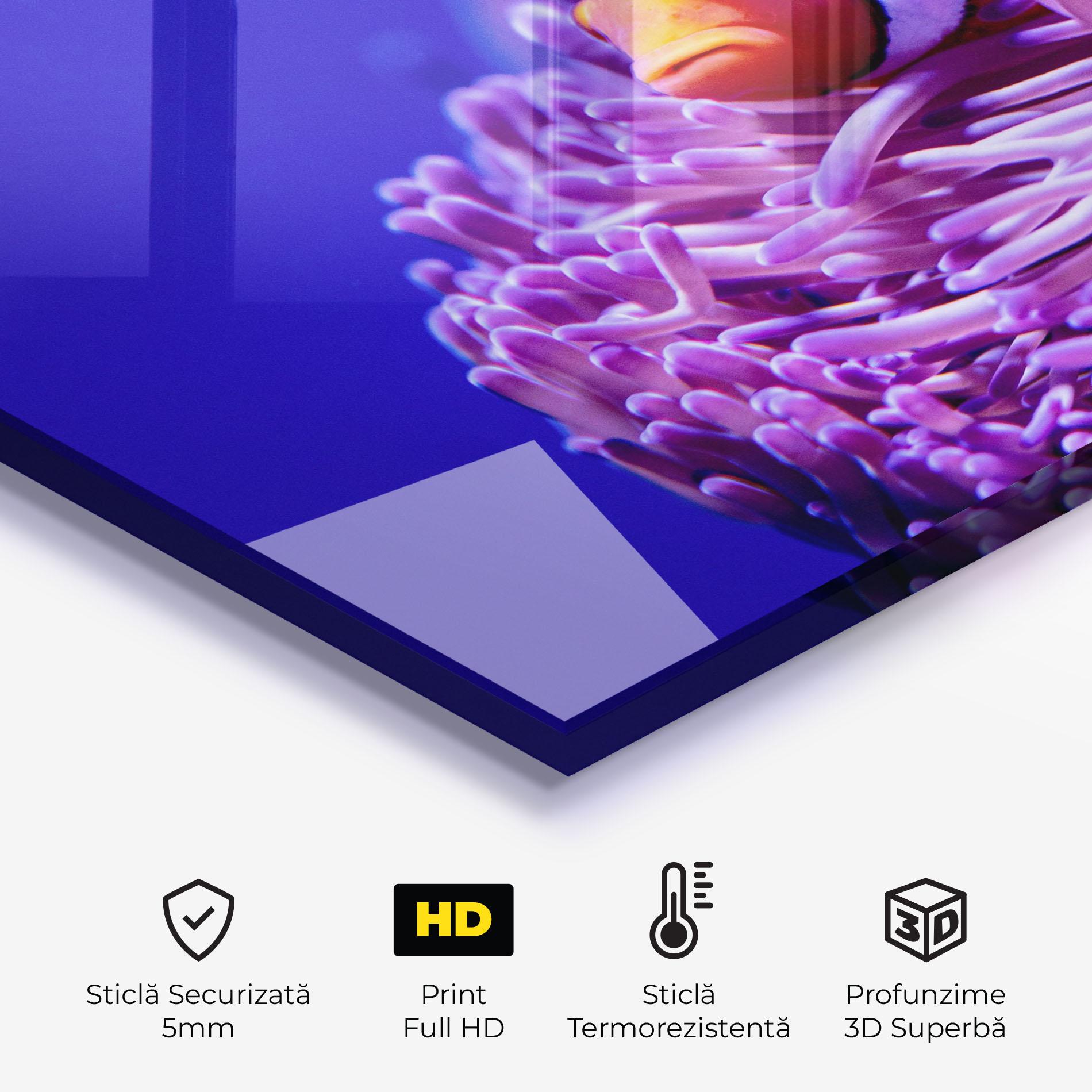 Panou Sticla Bucatarie Angry Nemo mockup 2