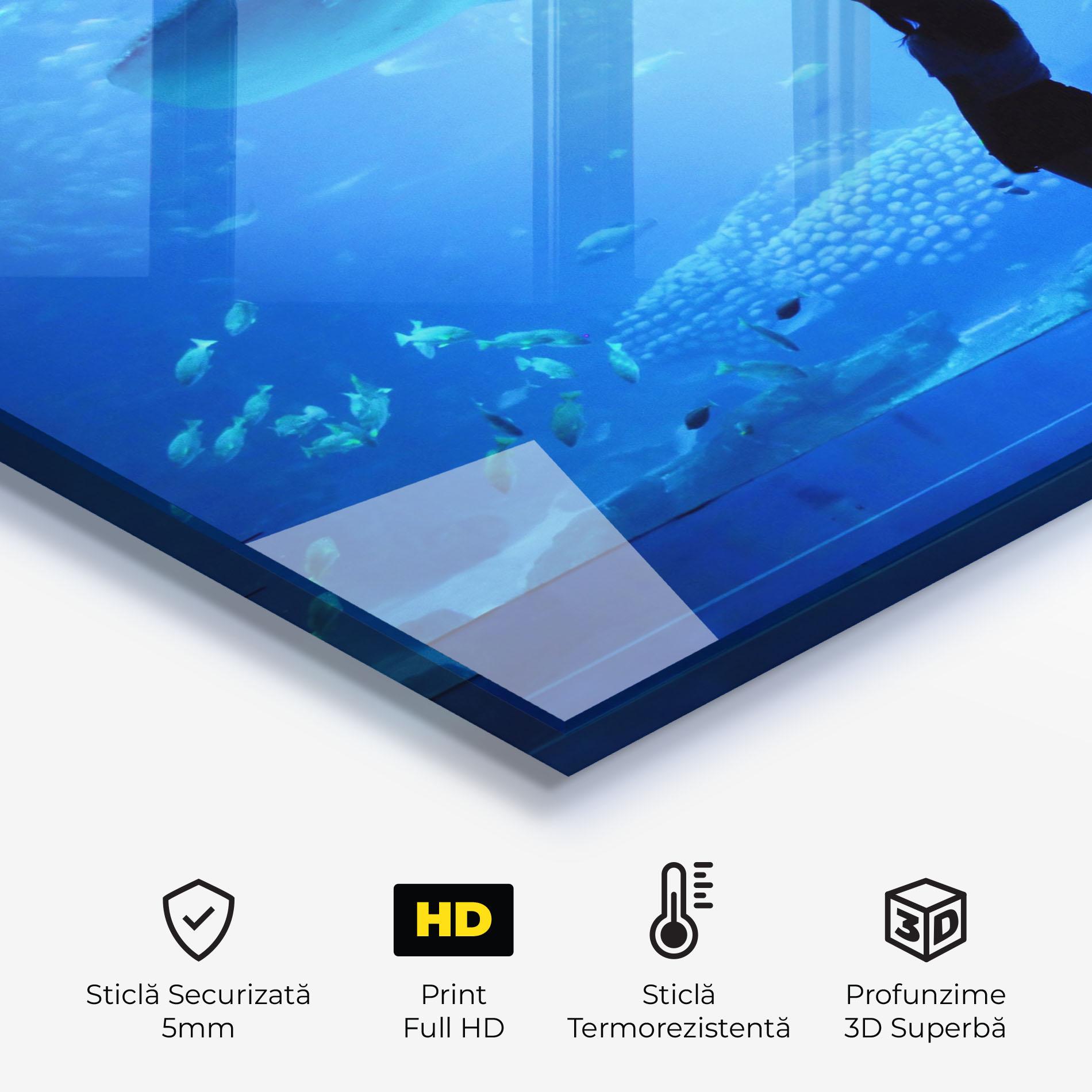 Panou Sticla Bucatarie Aquarium Girl mockup 2