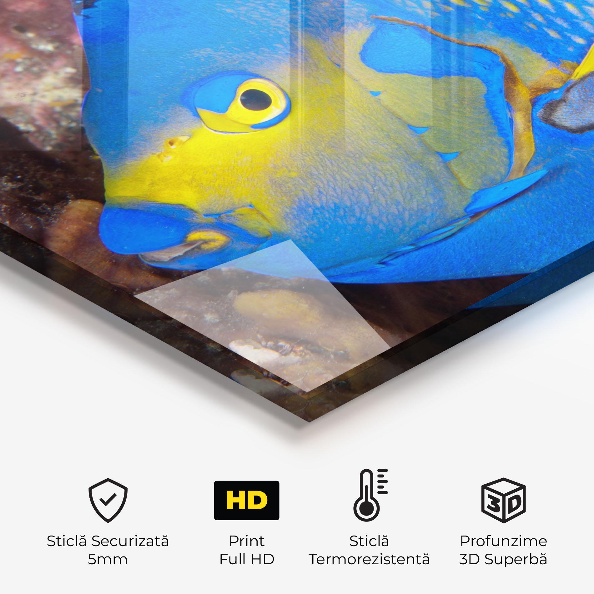 Panou Sticla Bucatarie Blue Yellow Fish mockup 2