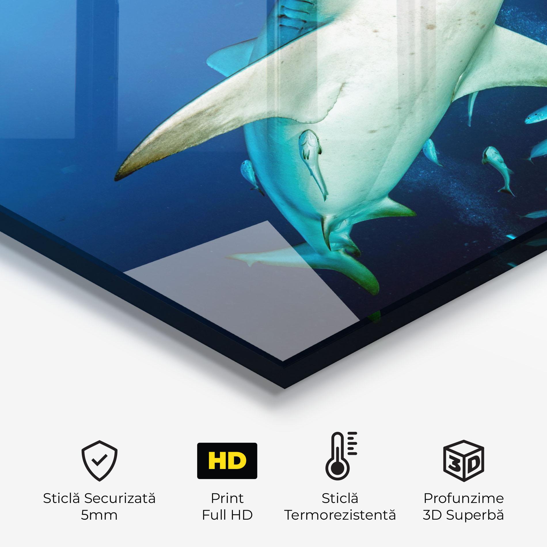 Panou Sticla Bucatarie Bull Shark mockup 2