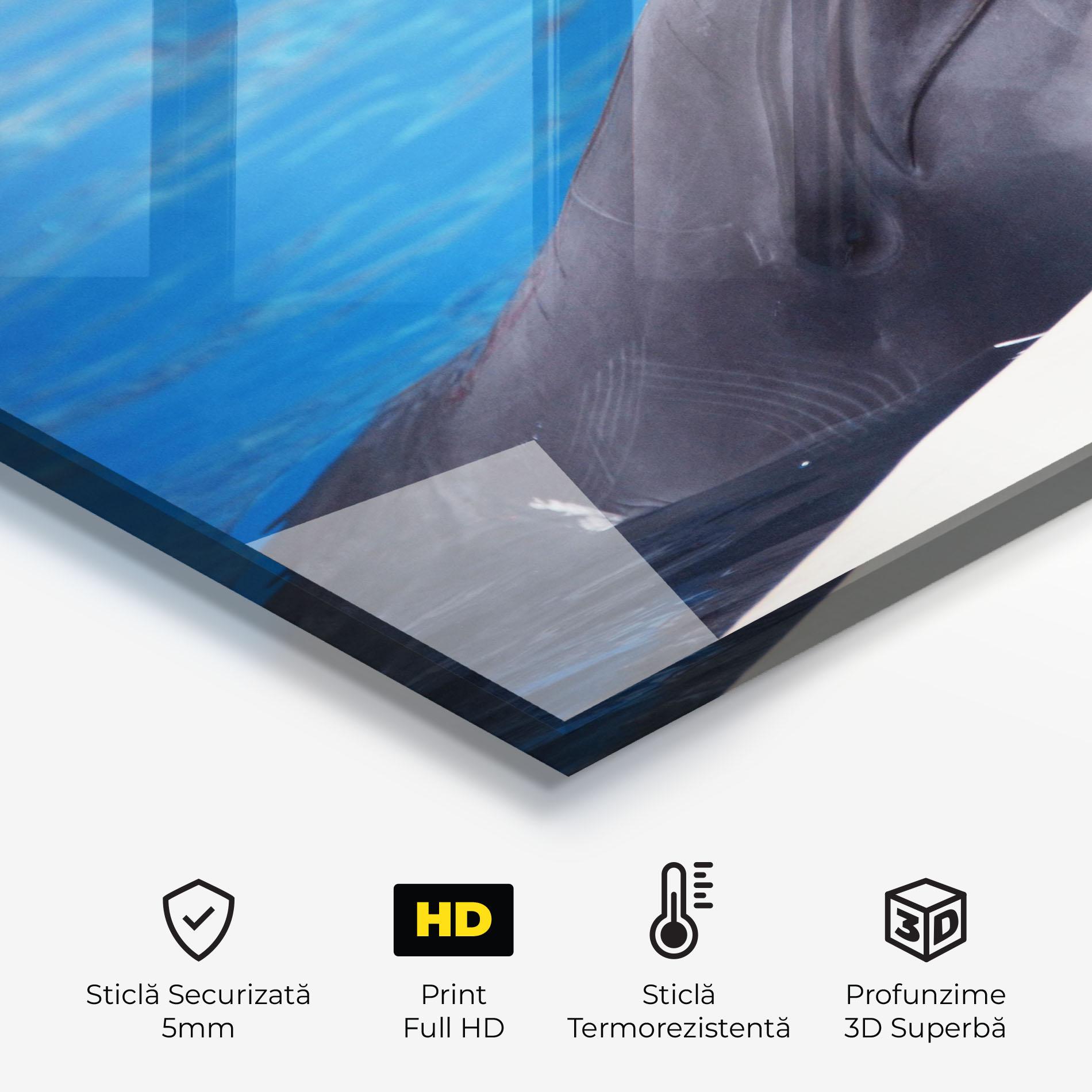 Panou Sticla Bucatarie Cute Dolphin mockup 2