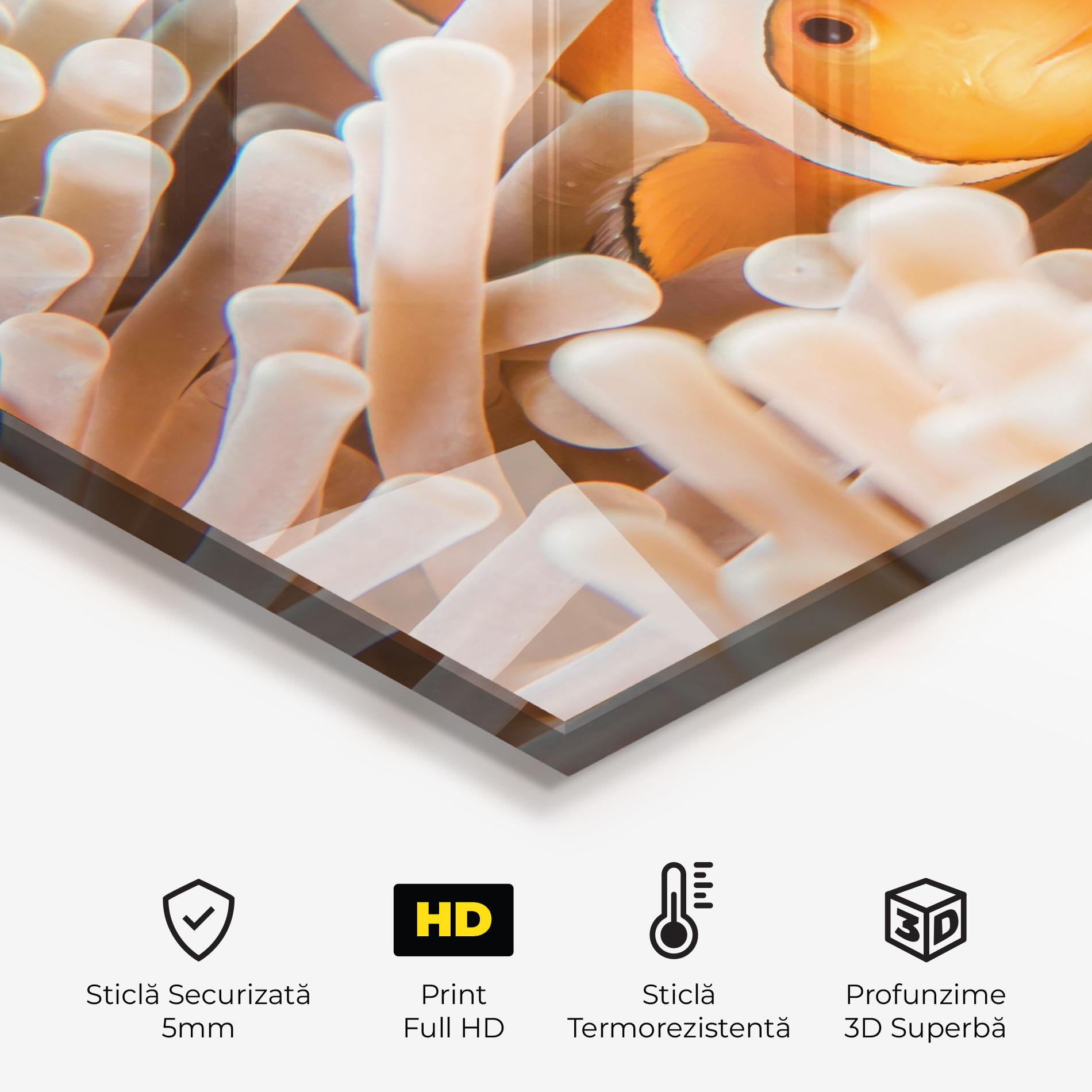 Panou Sticla Bucatarie Cute Nemo mockup 2