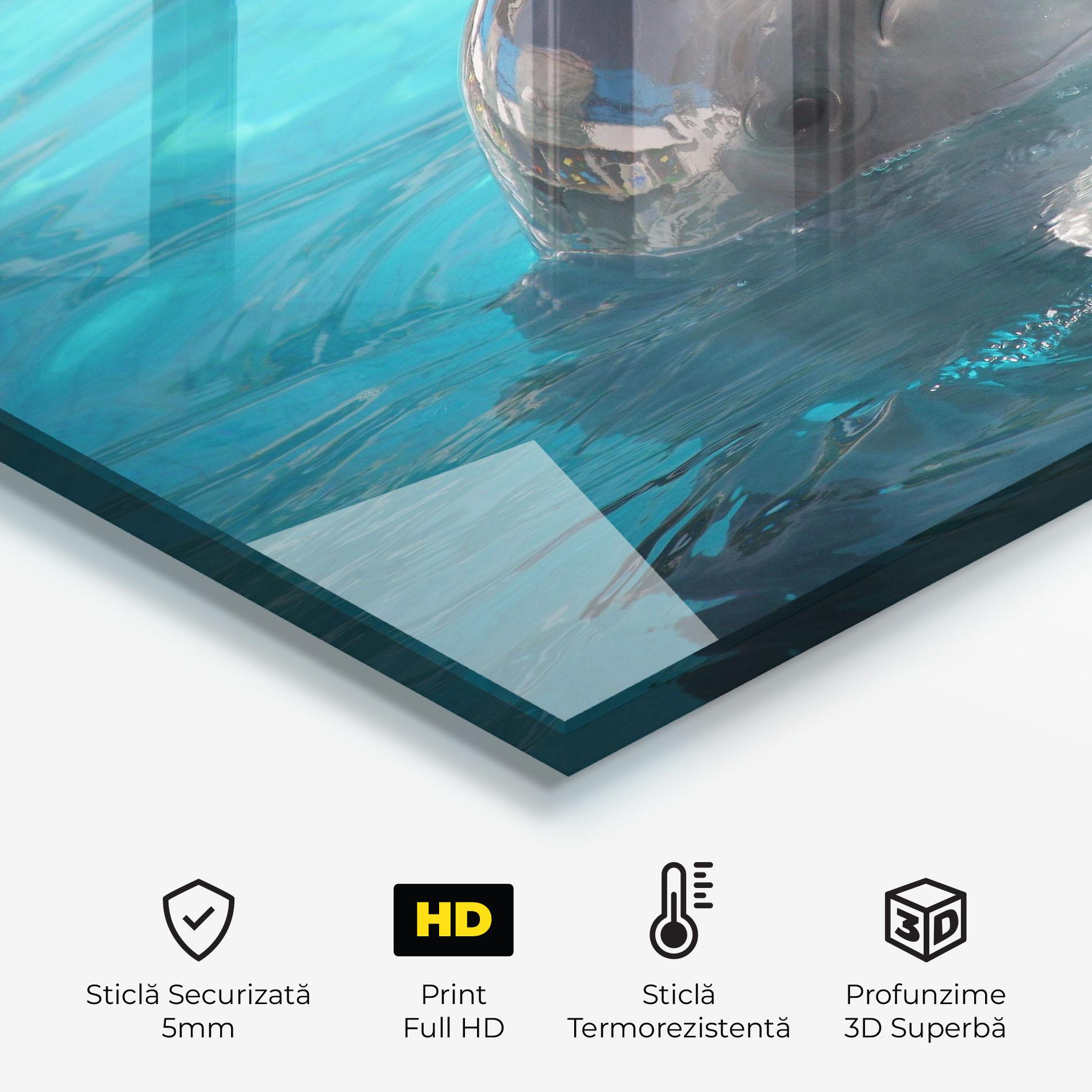 Panou Sticla Bucatarie Dolphin Poses mockup 2