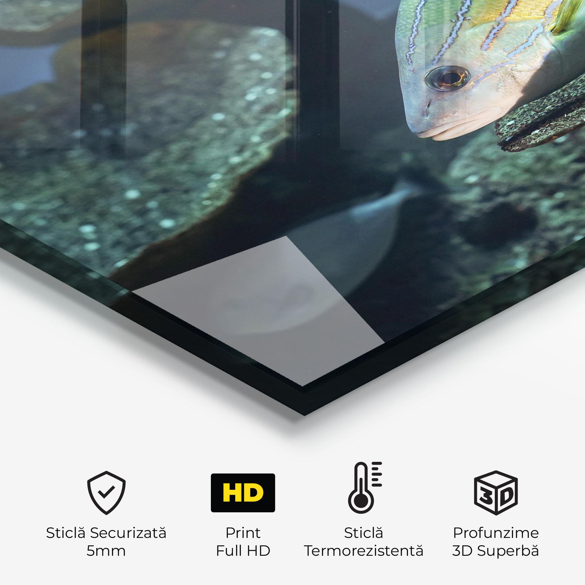 Panou Sticla Bucatarie Green Gold Fish mockup 2