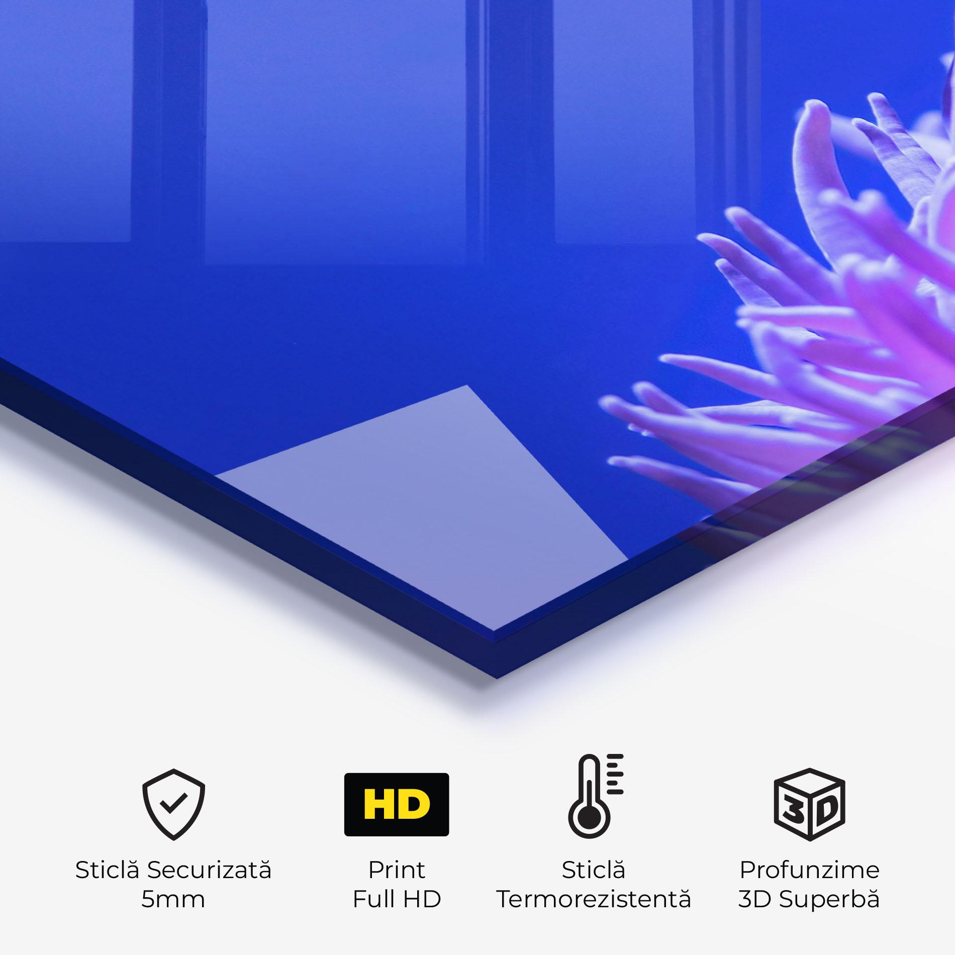 Panou Sticla Bucatarie Hungry Nemo mockup 2