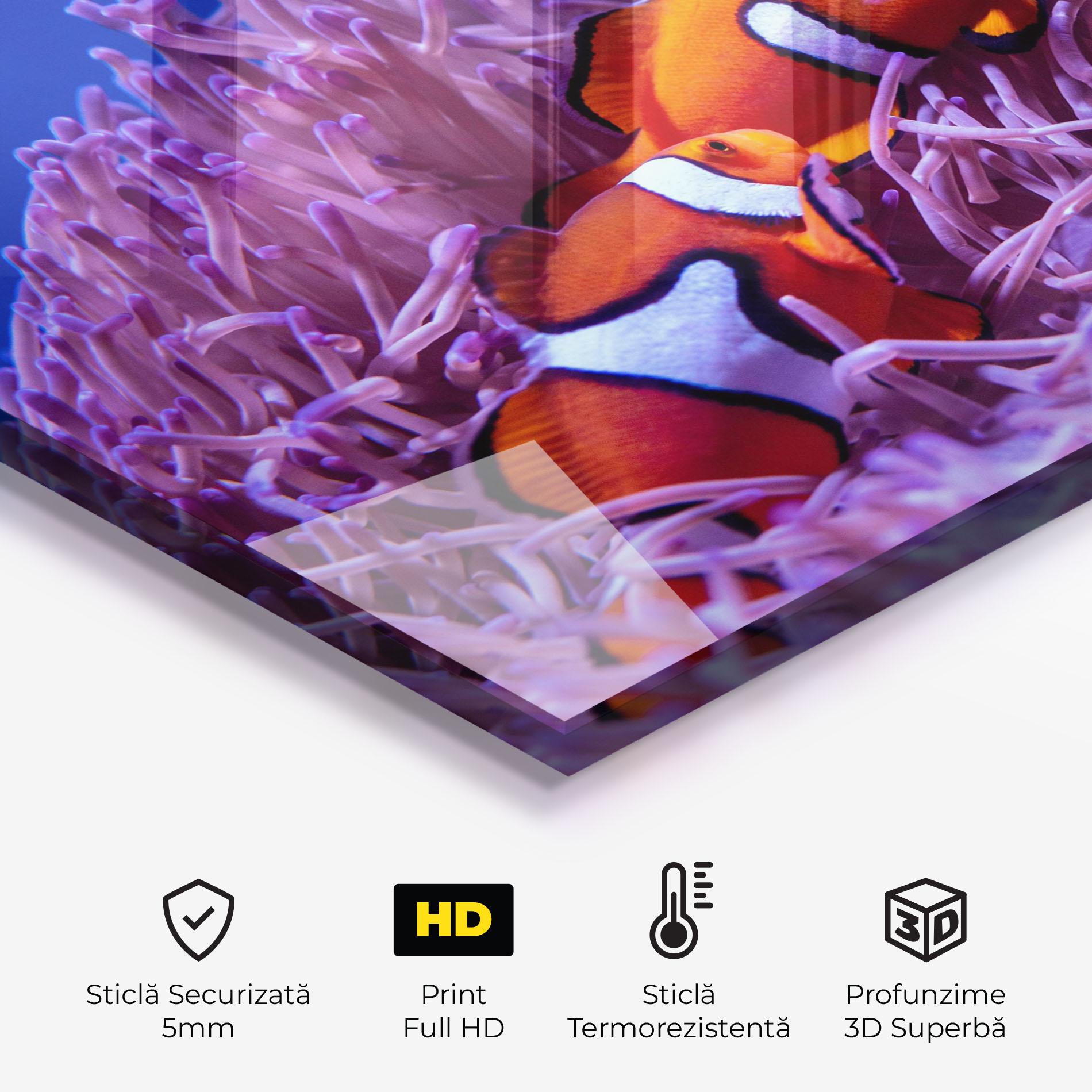 Panou Sticla Bucatarie Nemo Family mockup 2