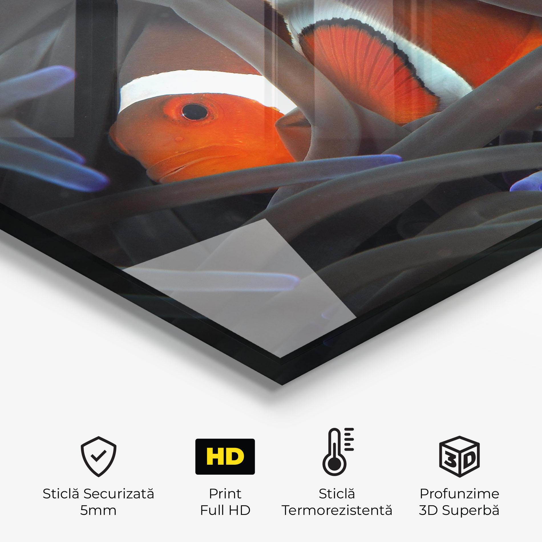 Panou Sticla Bucatarie Nemo Hiding mockup 2