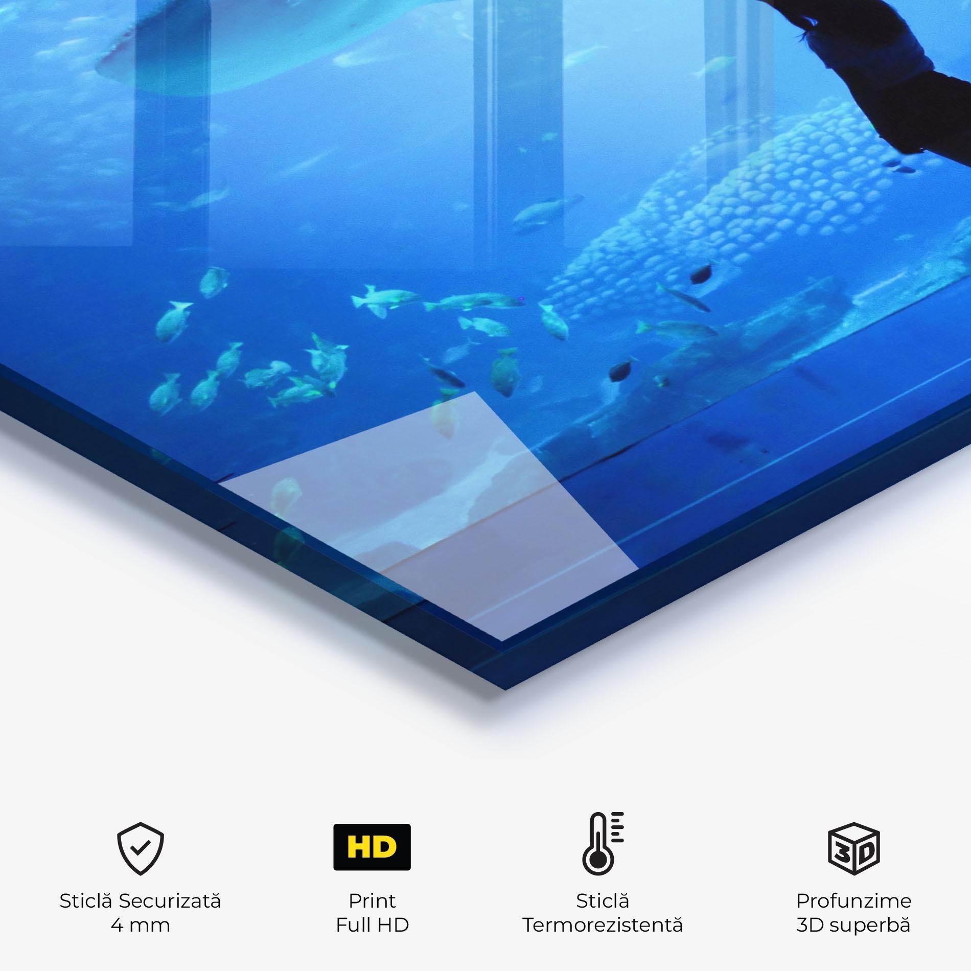 Panou Sticla Bucatarie Aquarium Girl mockup 2