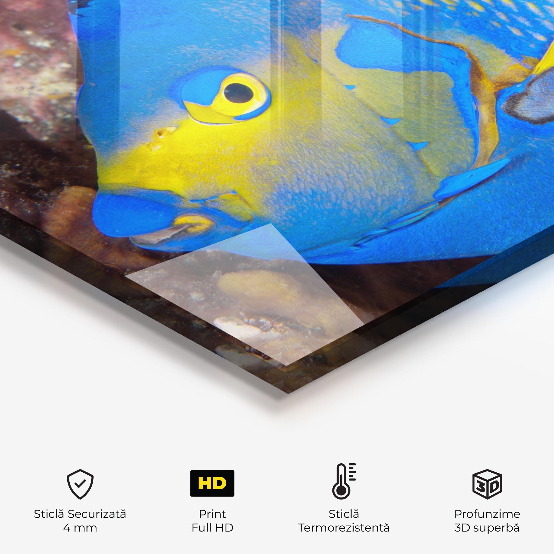 Panou Sticla Bucatarie Blue Yellow Fish mockup 2