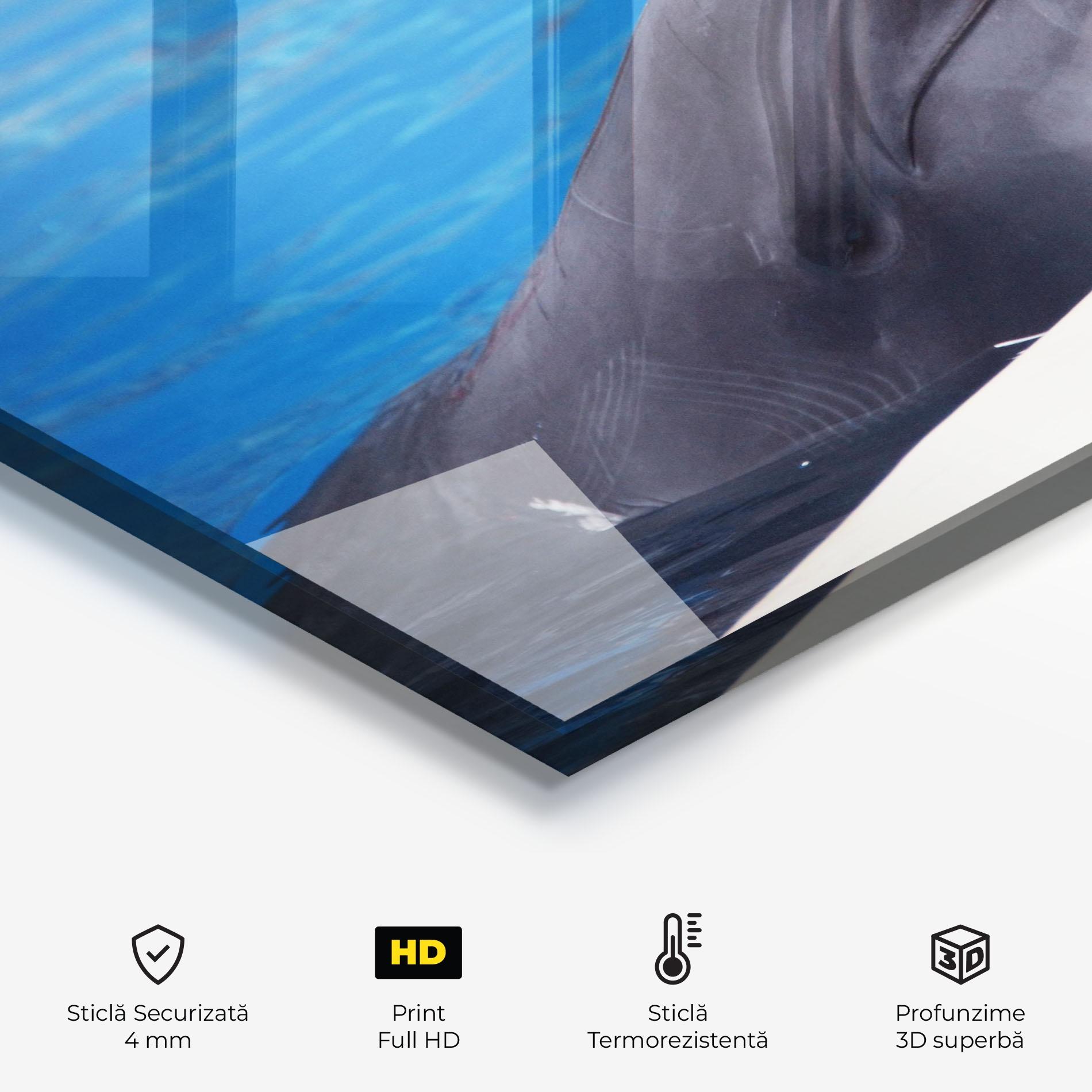 Panou Sticla Bucatarie Cute Dolphin mockup 2