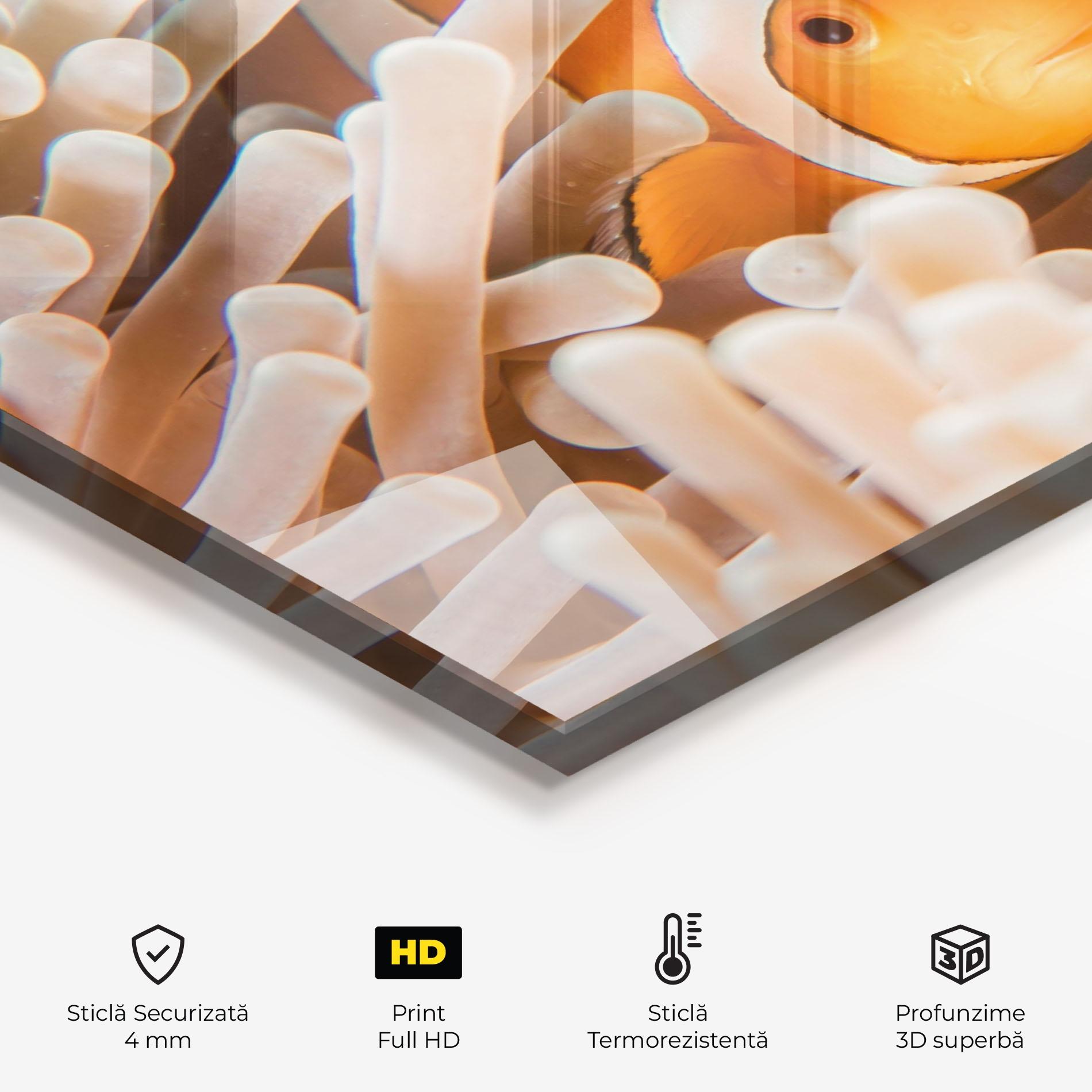 Panou Sticla Bucatarie Cute Nemo mockup 2