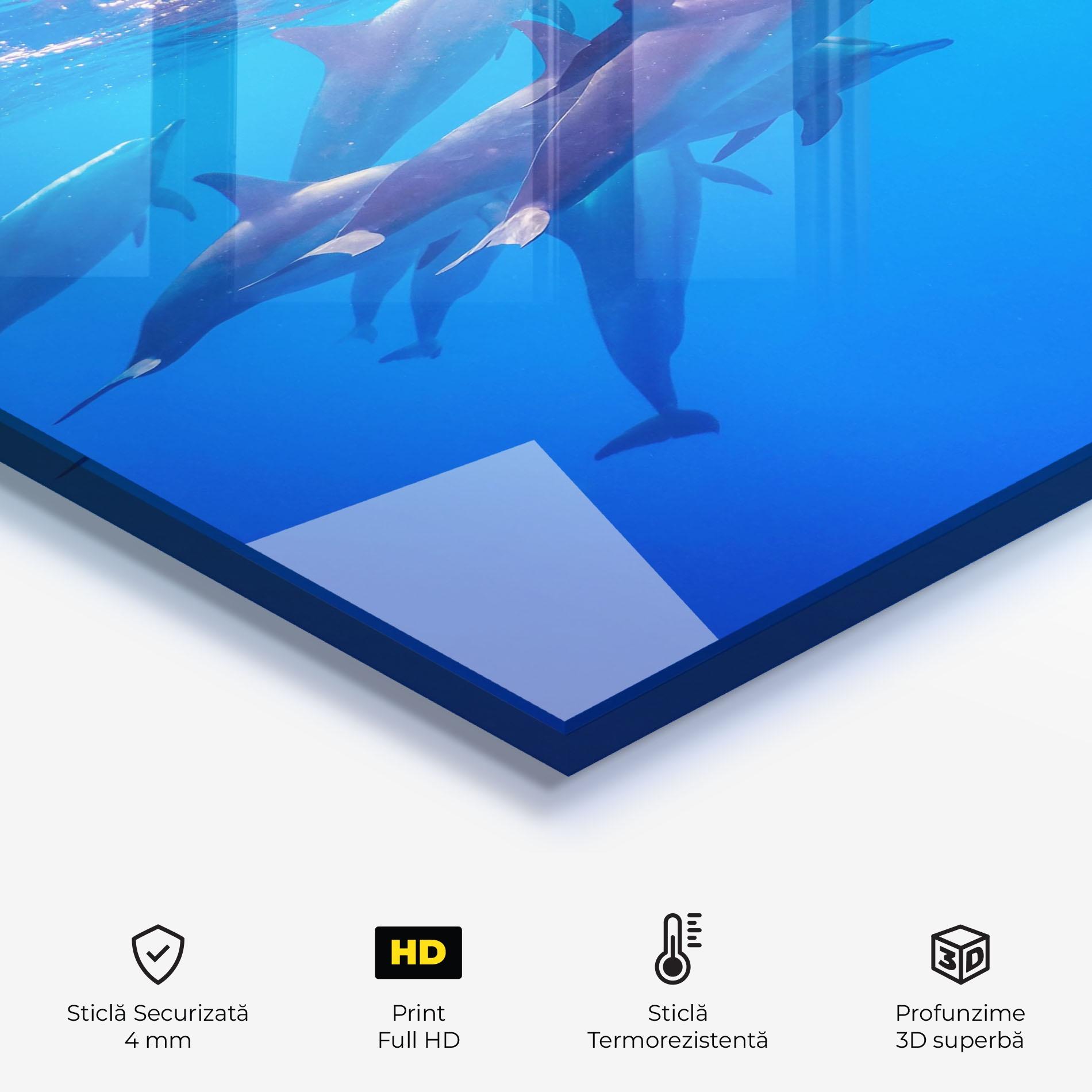 Panou Sticla Bucatarie Dolphin Family mockup 2