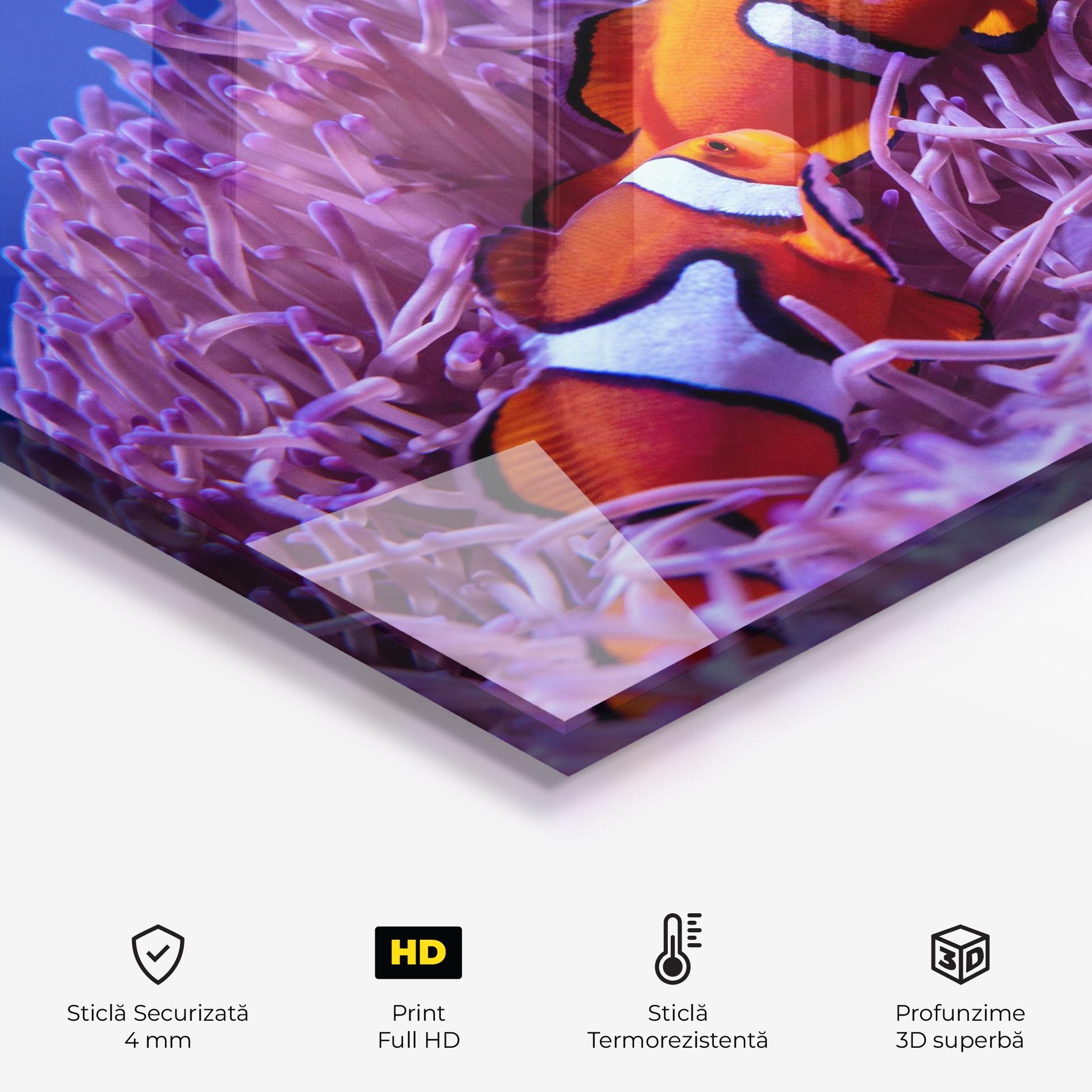 Panou Sticla Bucatarie Nemo Family mockup 2