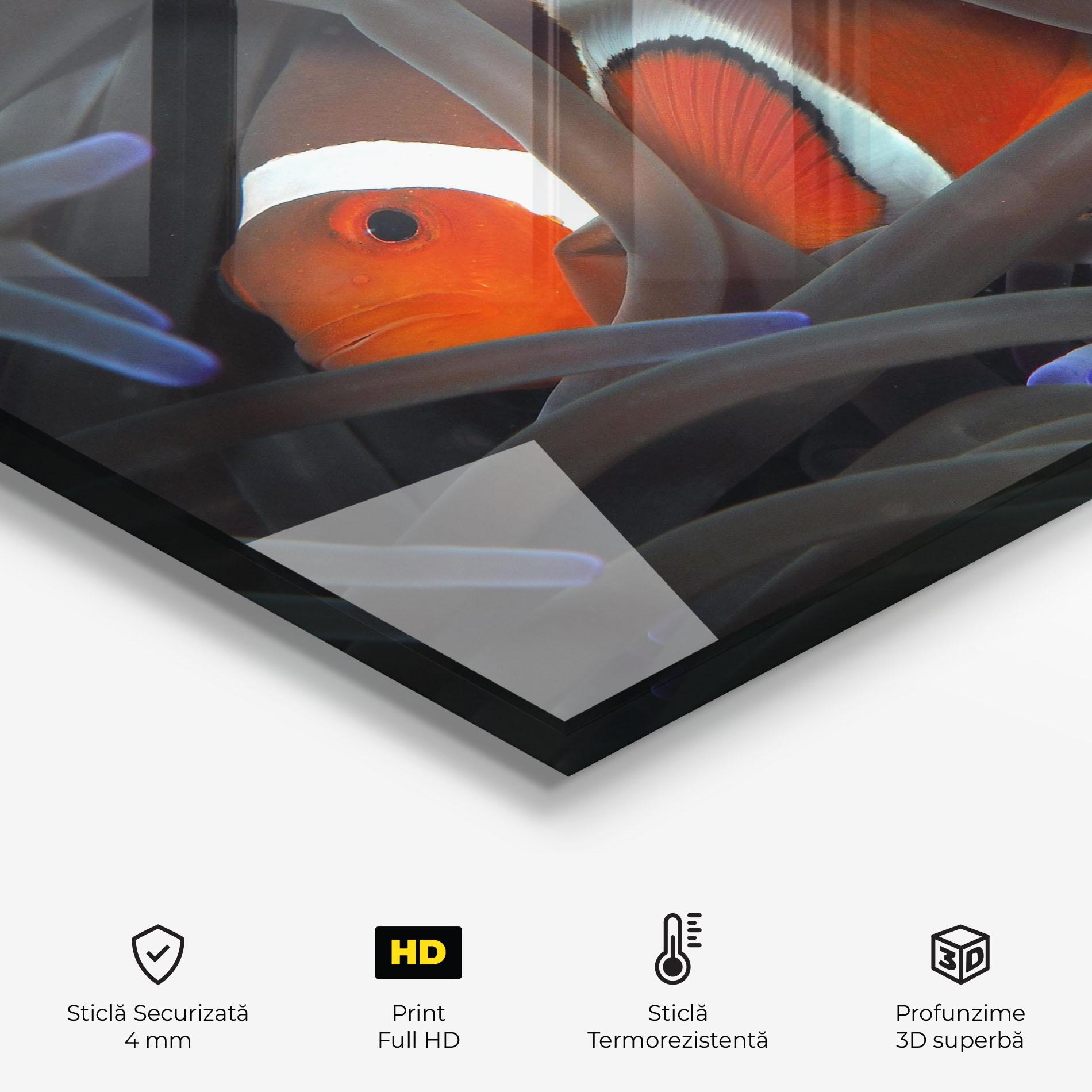 Panou Sticla Bucatarie Nemo Hiding mockup 2