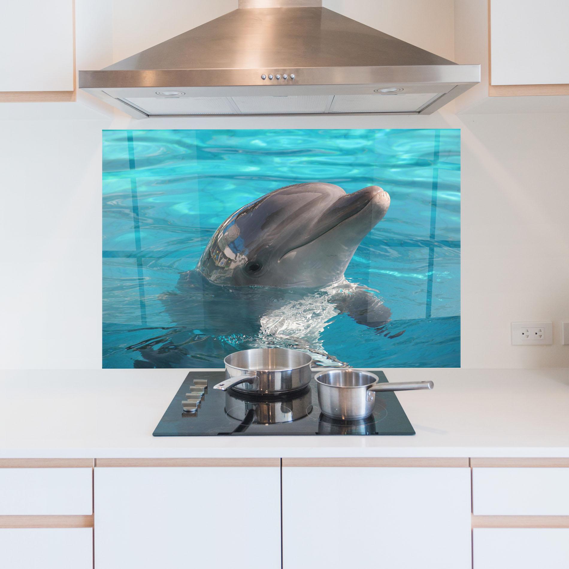 Panou Sticla Bucatarie Dolphin Poses mockup 5
