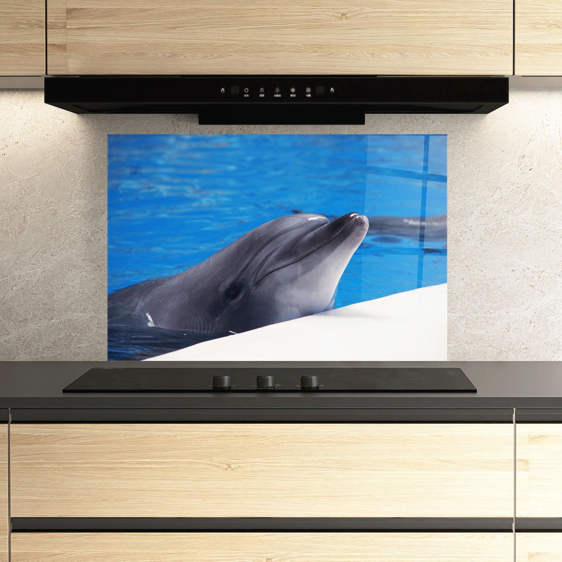 Panou Sticla Bucatarie Cute Dolphin mockup 3