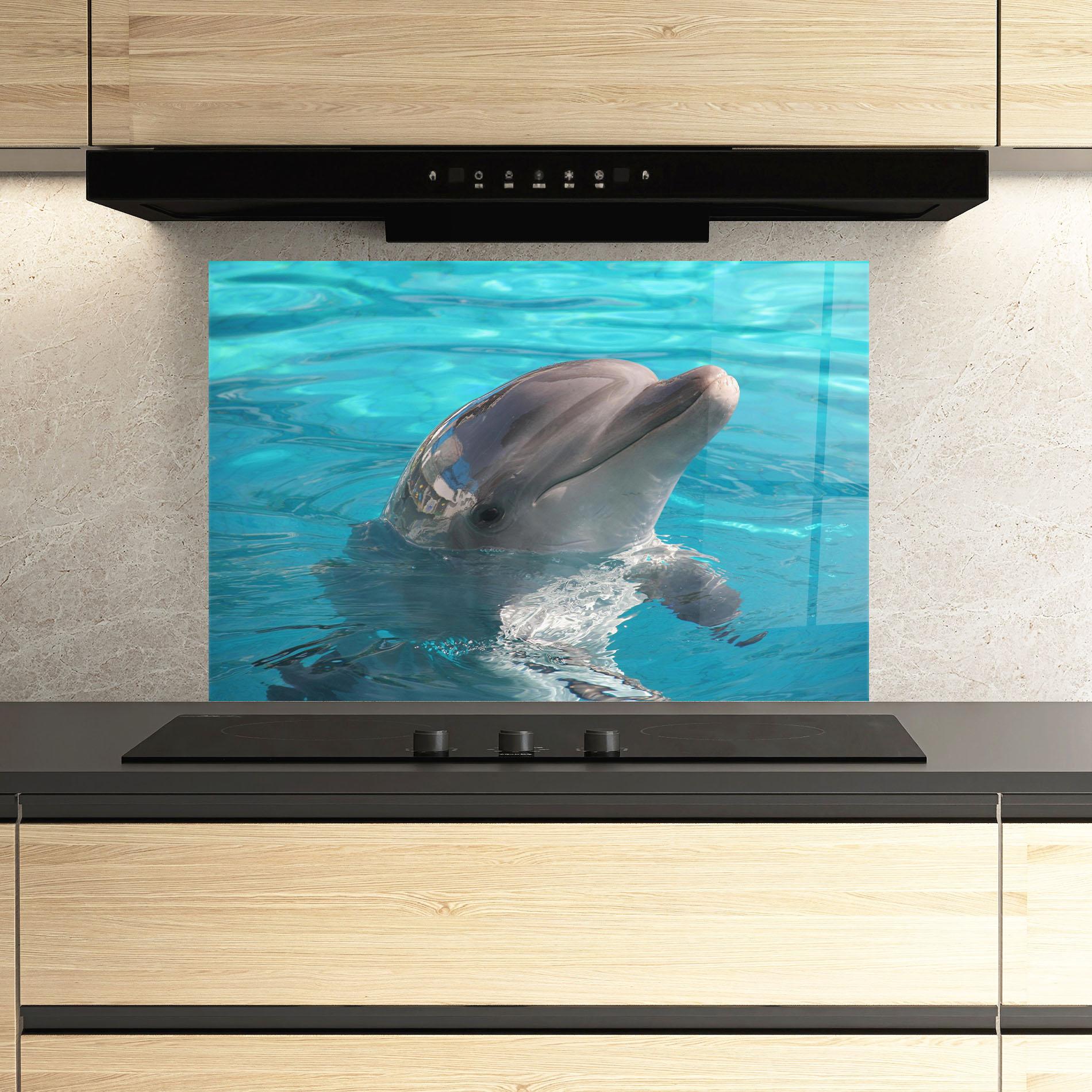 Panou Sticla Bucatarie Dolphin Poses mockup 3
