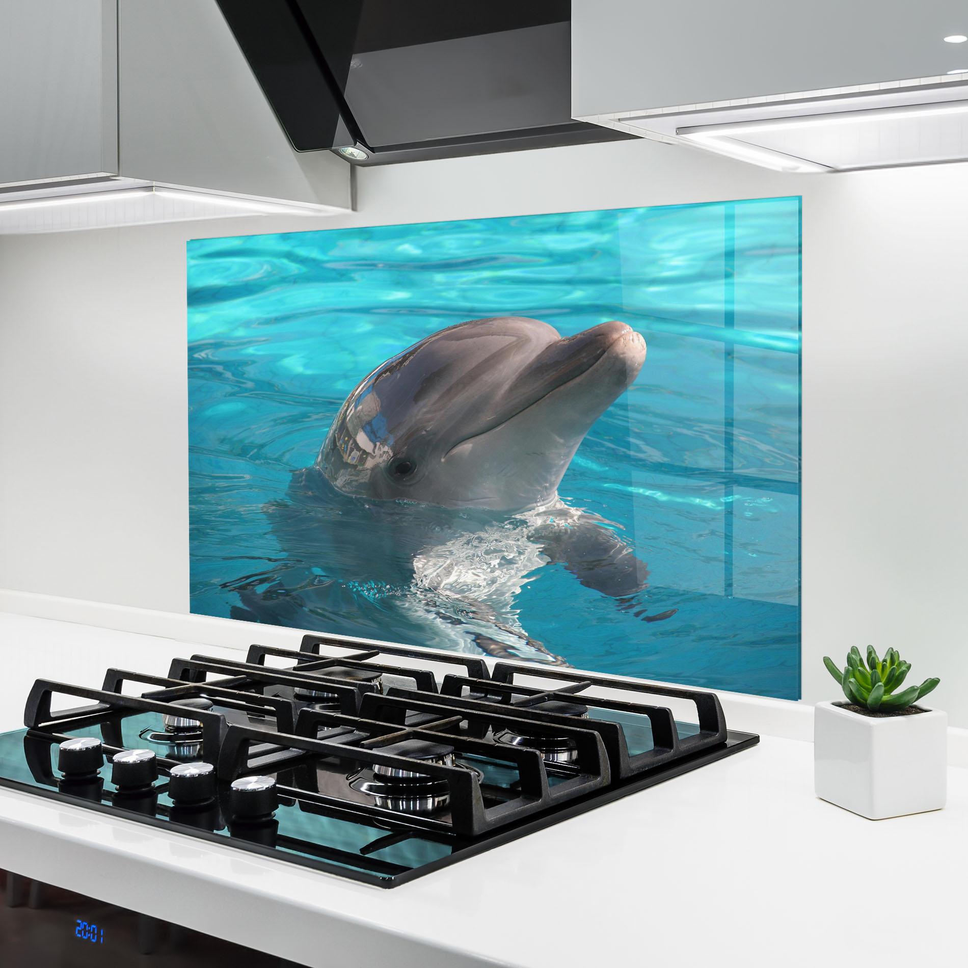 Panou Sticla Bucatarie Dolphin Poses mockup 6