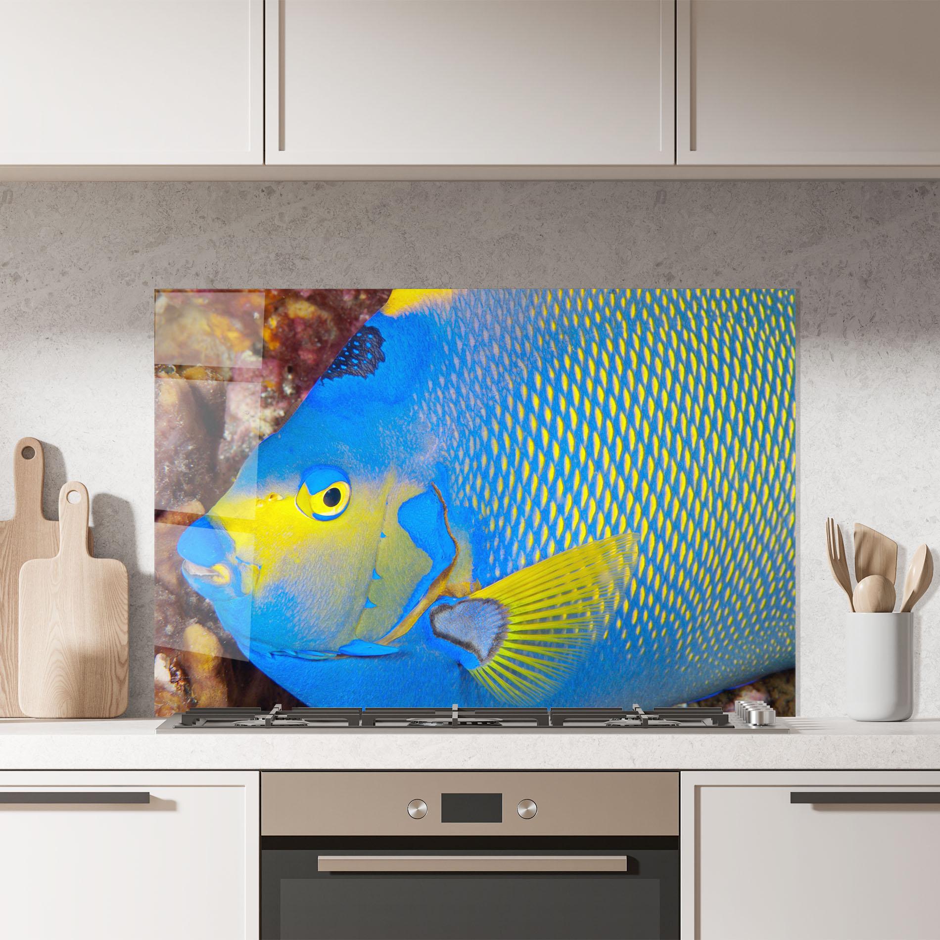 Panou Sticla Bucatarie Blue Yellow Fish mockup 7