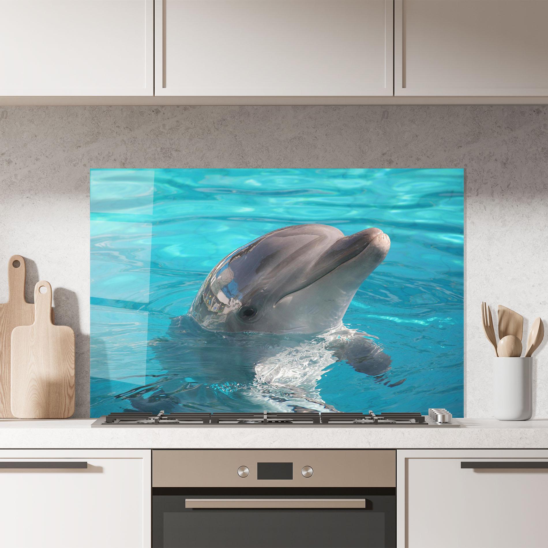 Panou Sticla Bucatarie Dolphin Poses mockup 7