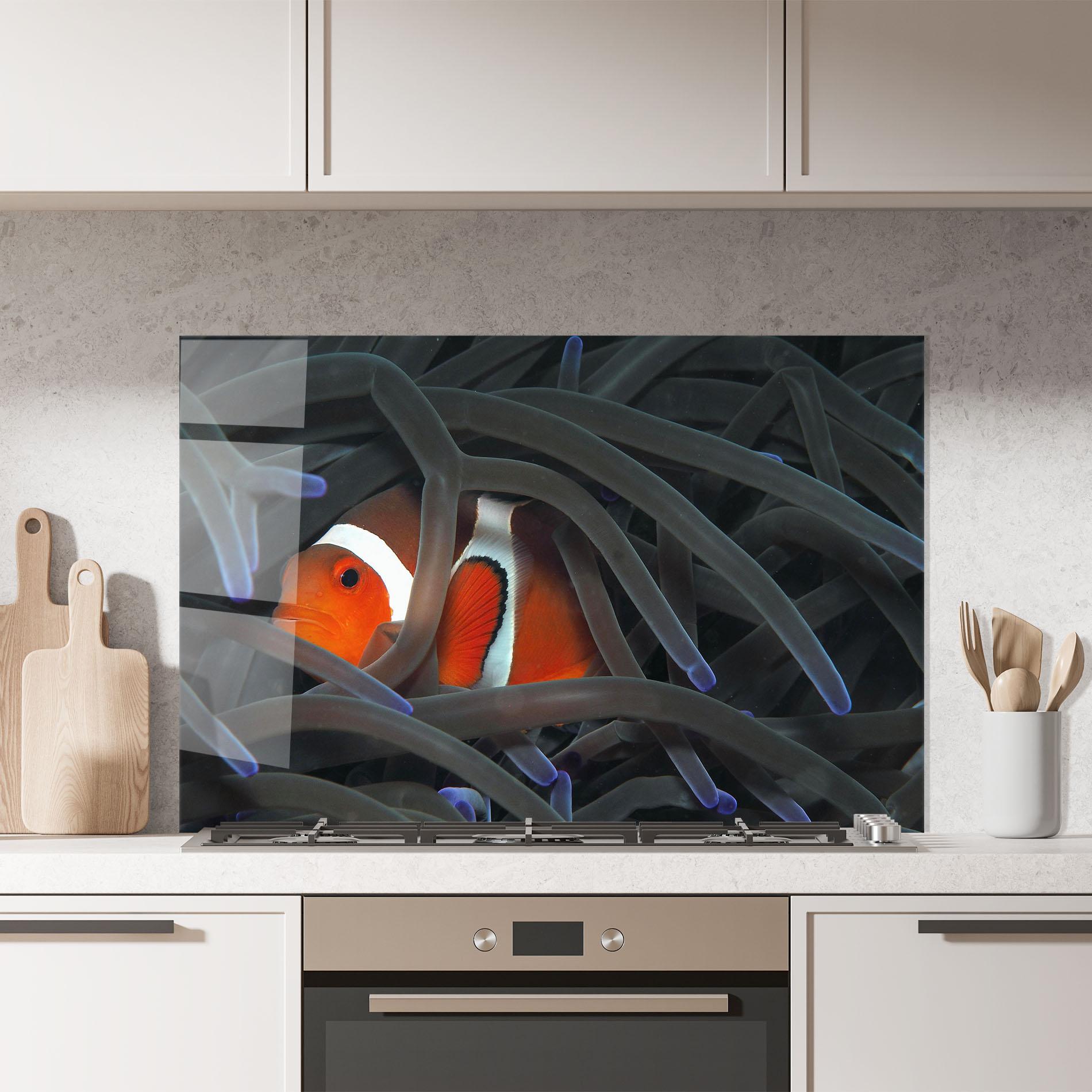 Panou Sticla Bucatarie Nemo Hiding mockup 7