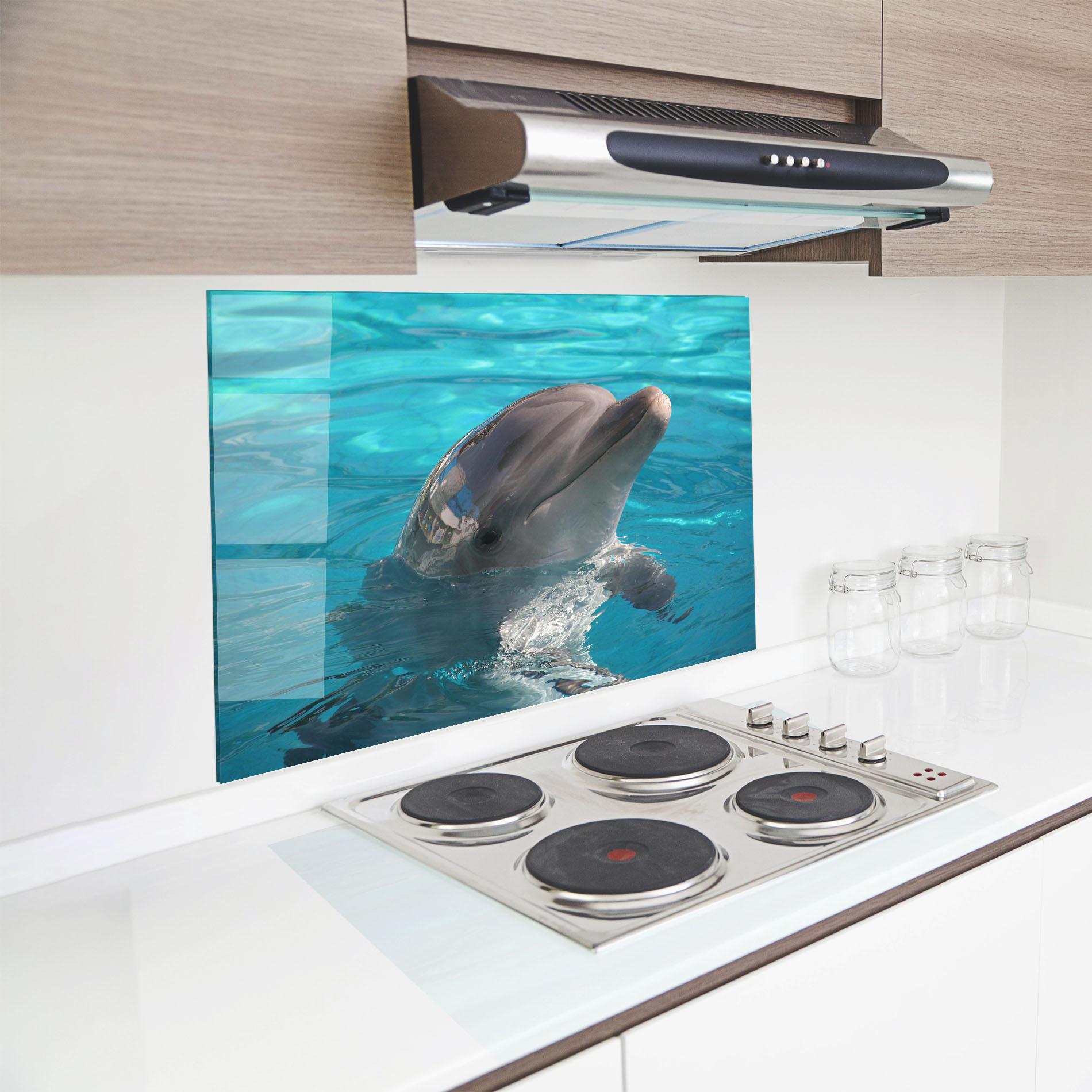 Panou Sticla Bucatarie Dolphin Poses mockup 8
