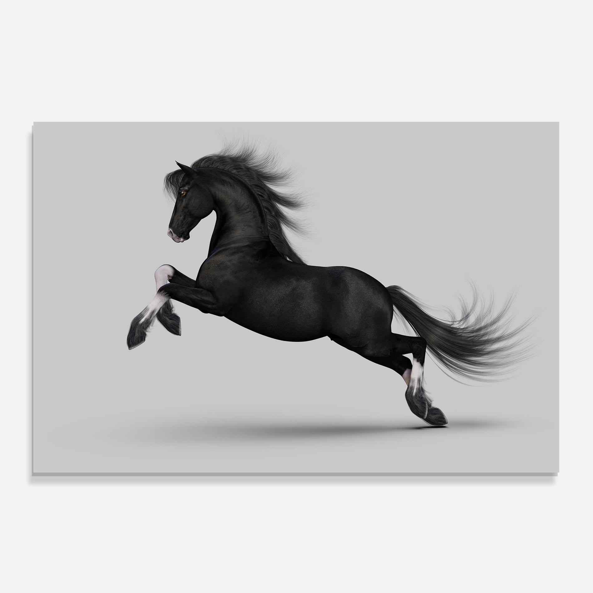 Panou Sticla Bucatarie Black Horse Galloping mockup 0