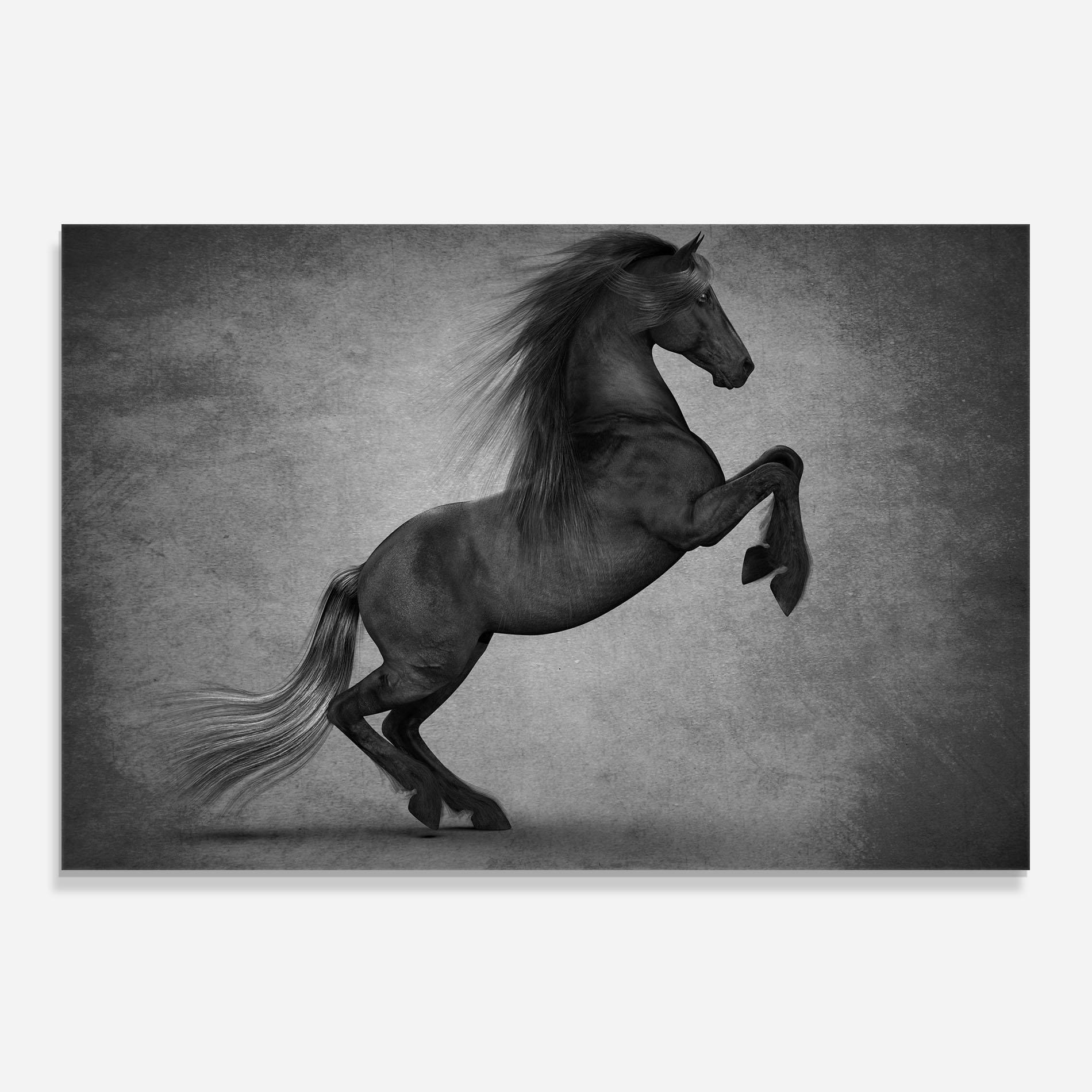 Panou Sticla Bucatarie Black Horse Jumping mockup 0